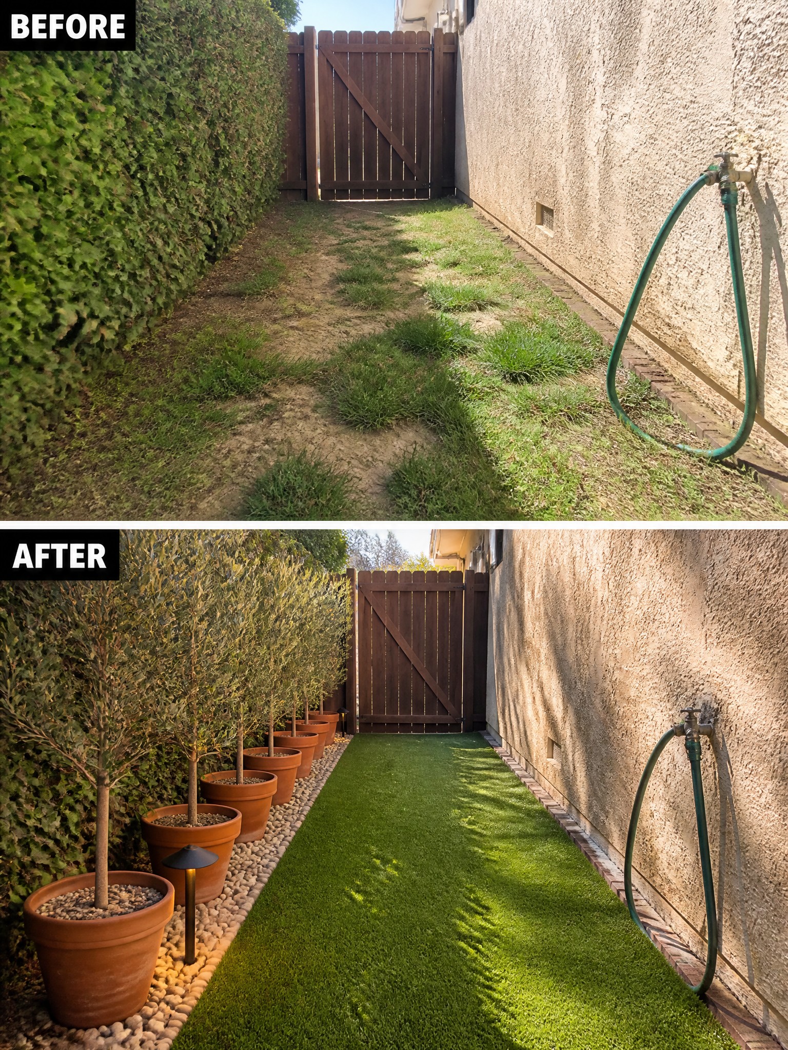 Before-and-after image of a narrow side yard changed from patchy grass and dirt into a clean turf path lined with potted trees.