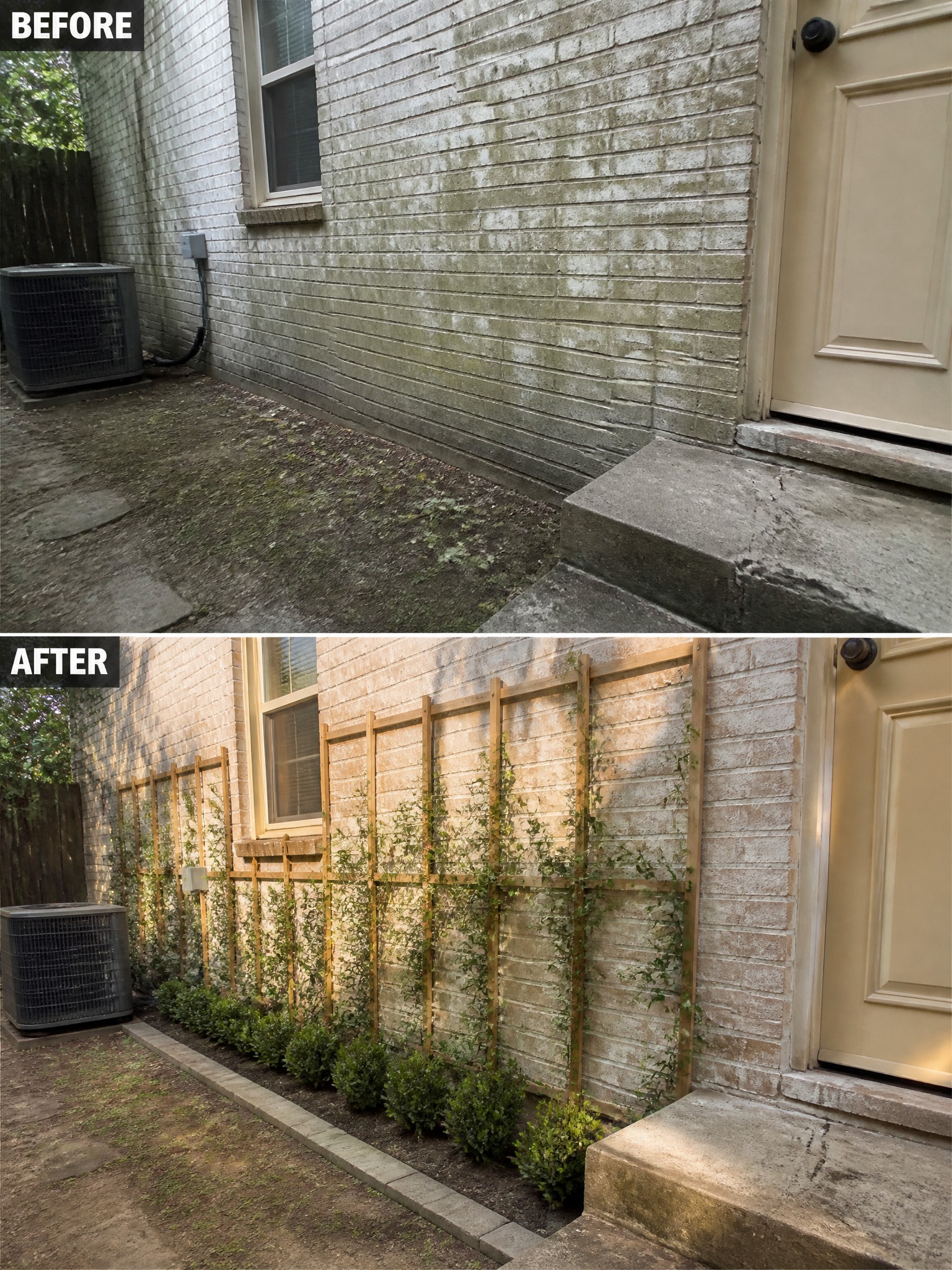 Before and after of brick wall with added wooden trellises, vines, and shrubs