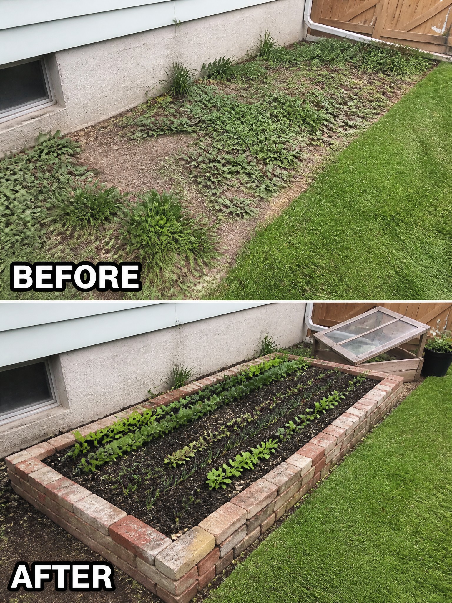 Before and after of weedy yard transformed into neat brick raised garden bed.