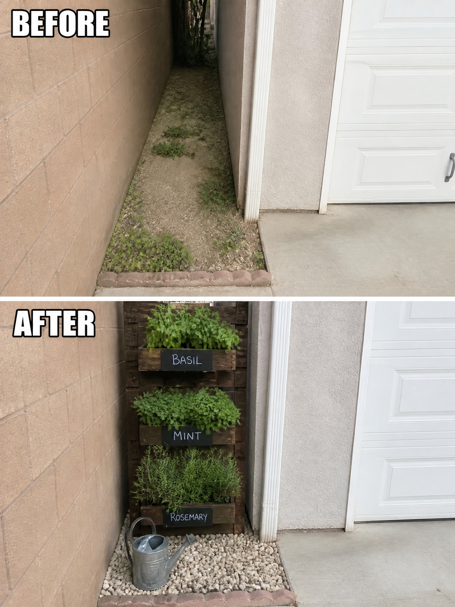 Before weedy alley and after vertical pallet planter with labeled basil, mint, rosemary.