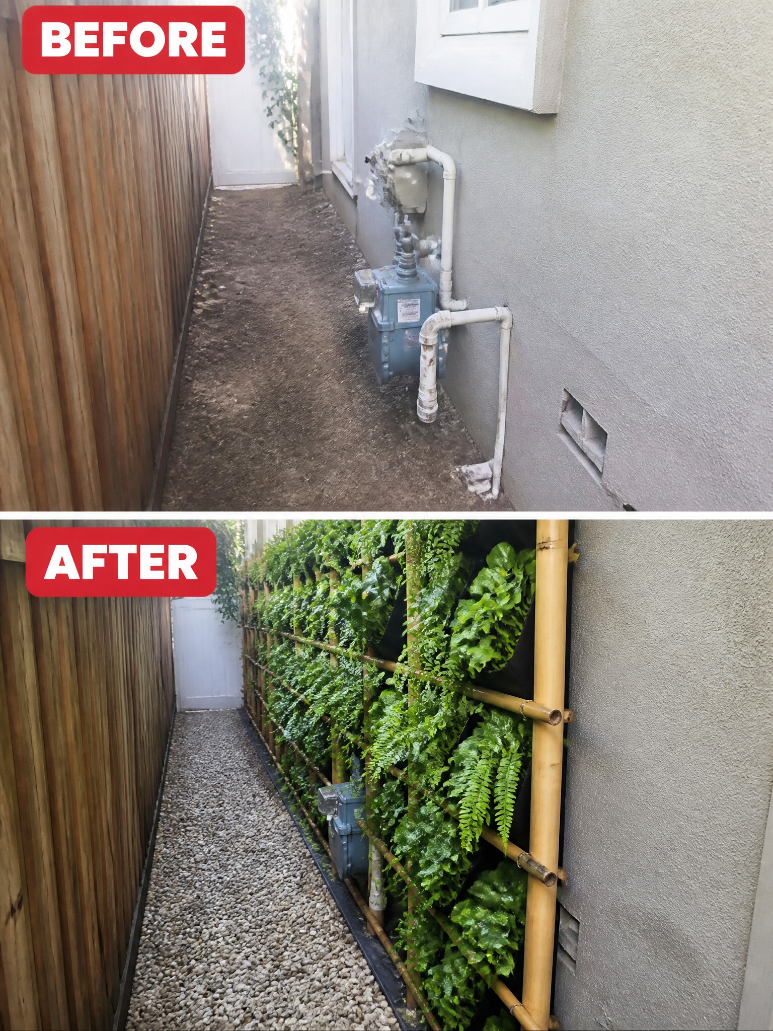 Before-and-after alleyway: dirt path upgraded to gravel with bamboo vertical garden.
