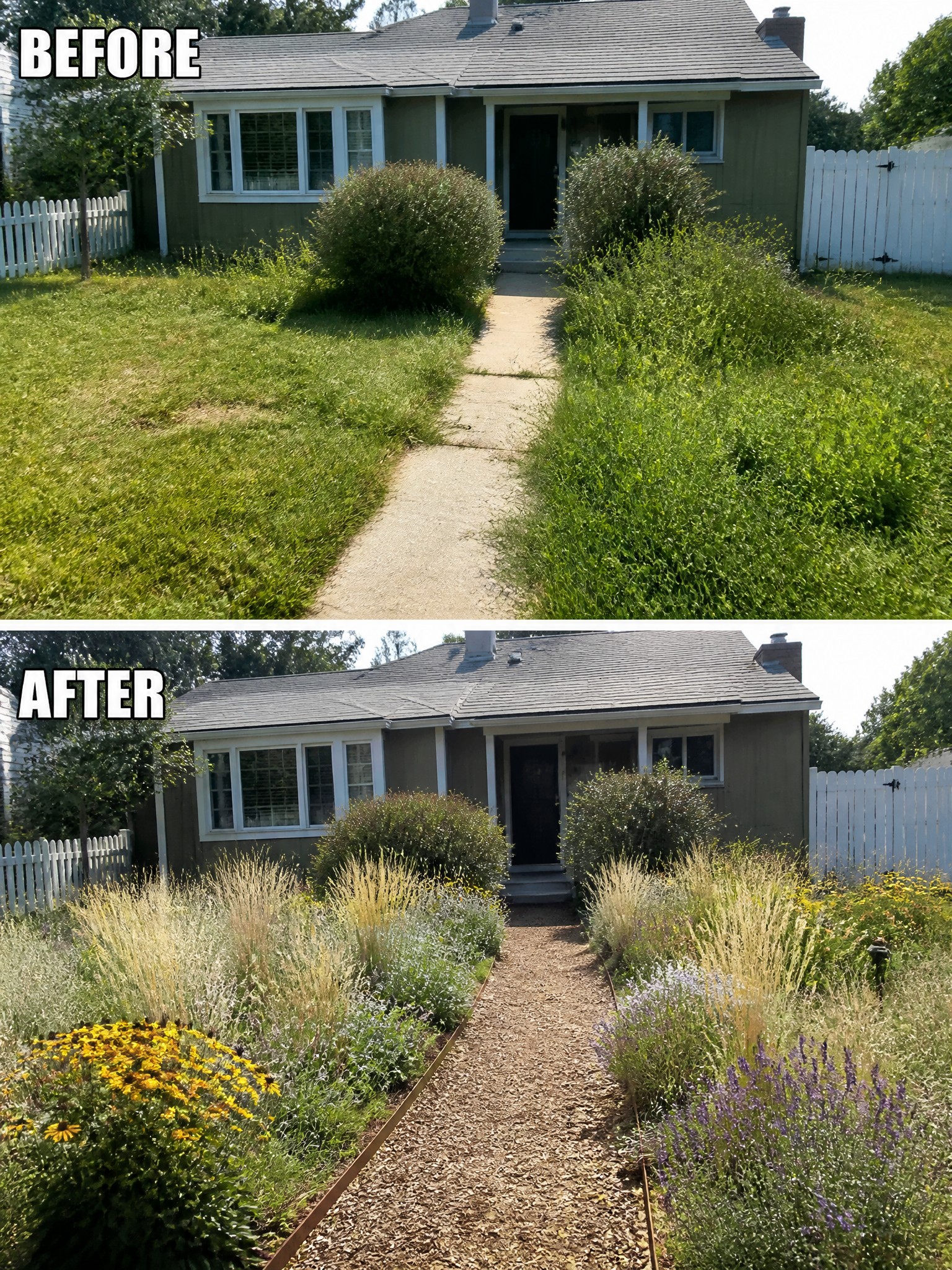 Before-and-after image of an overgrown front yard changed into a landscaped space with defined garden beds, gravel path, and structured planting.