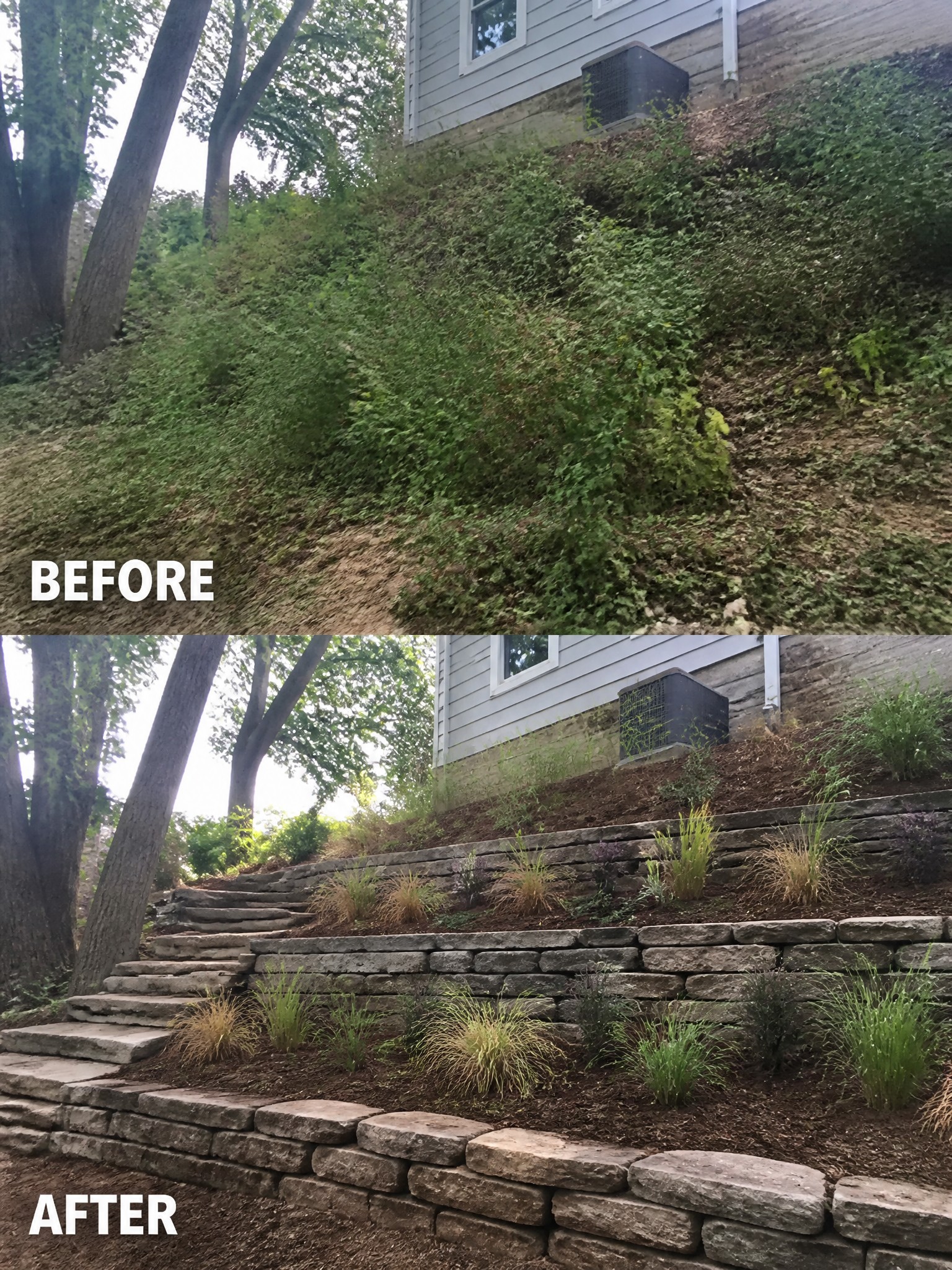 Before and after of overgrown hillside transformed with stone retaining walls and plants.