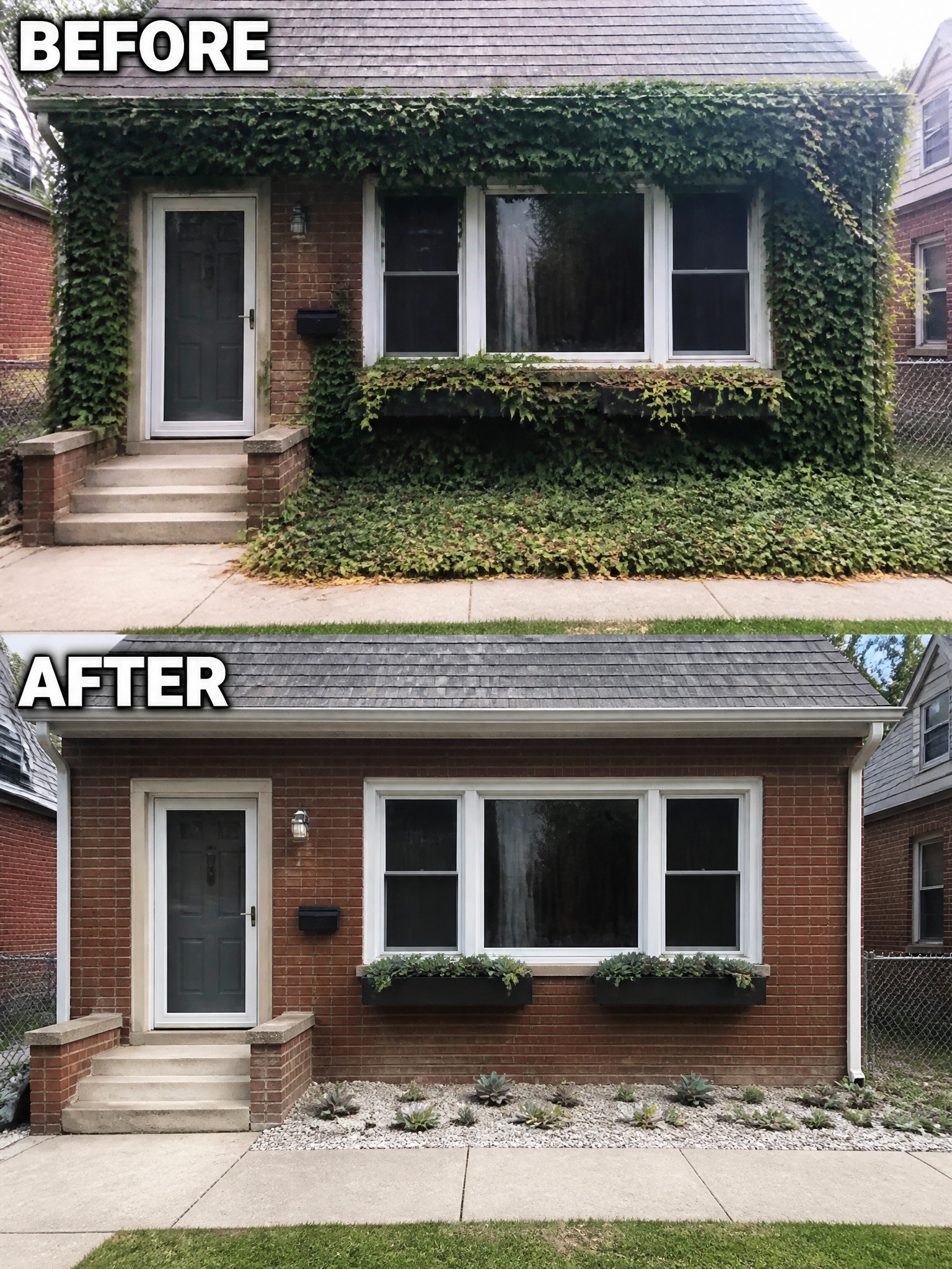 Before and after of brick house with ivy removed and updated landscaping.