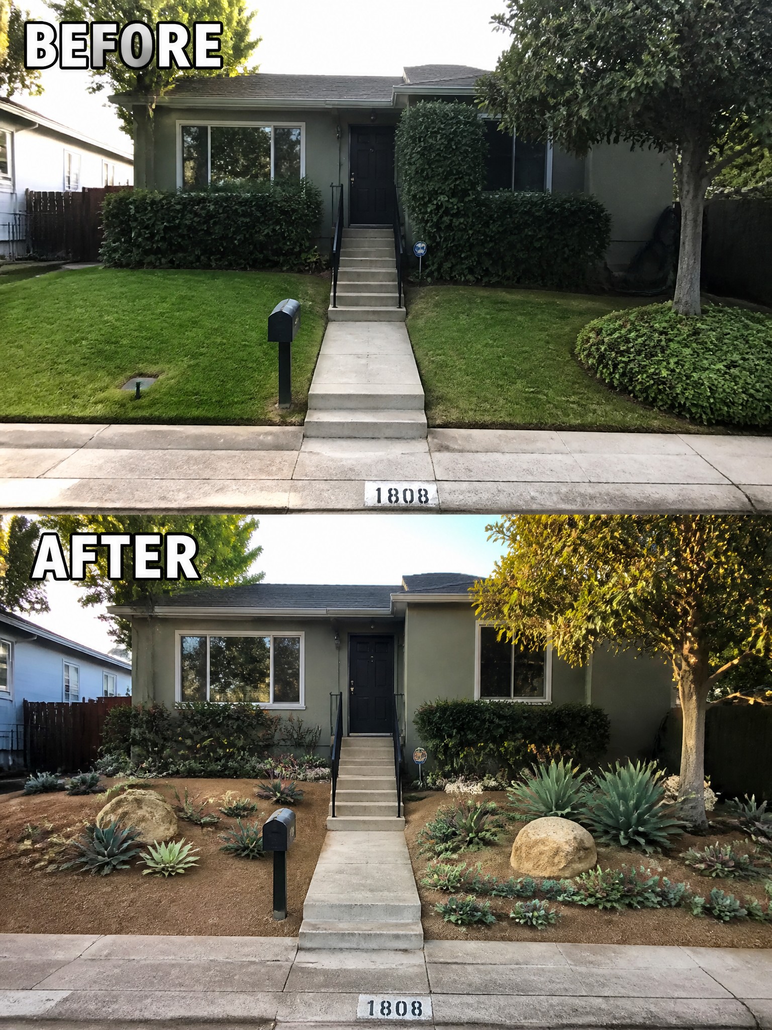 Before and after house front yard with grass replaced by succulents and rocks.