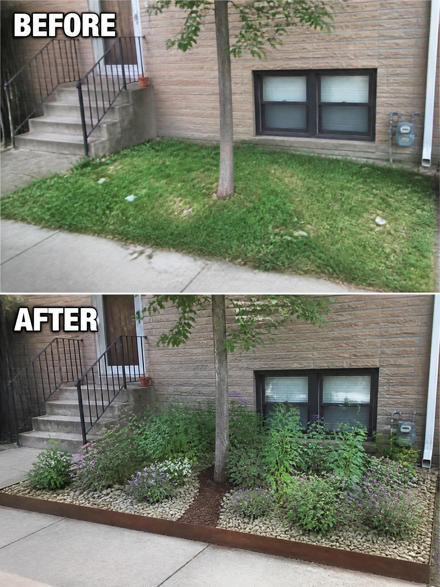 Before-and-after image of a house foundation area where an overgrown lawn edge was replaced with bordered garden beds, gravel, and planted sections.