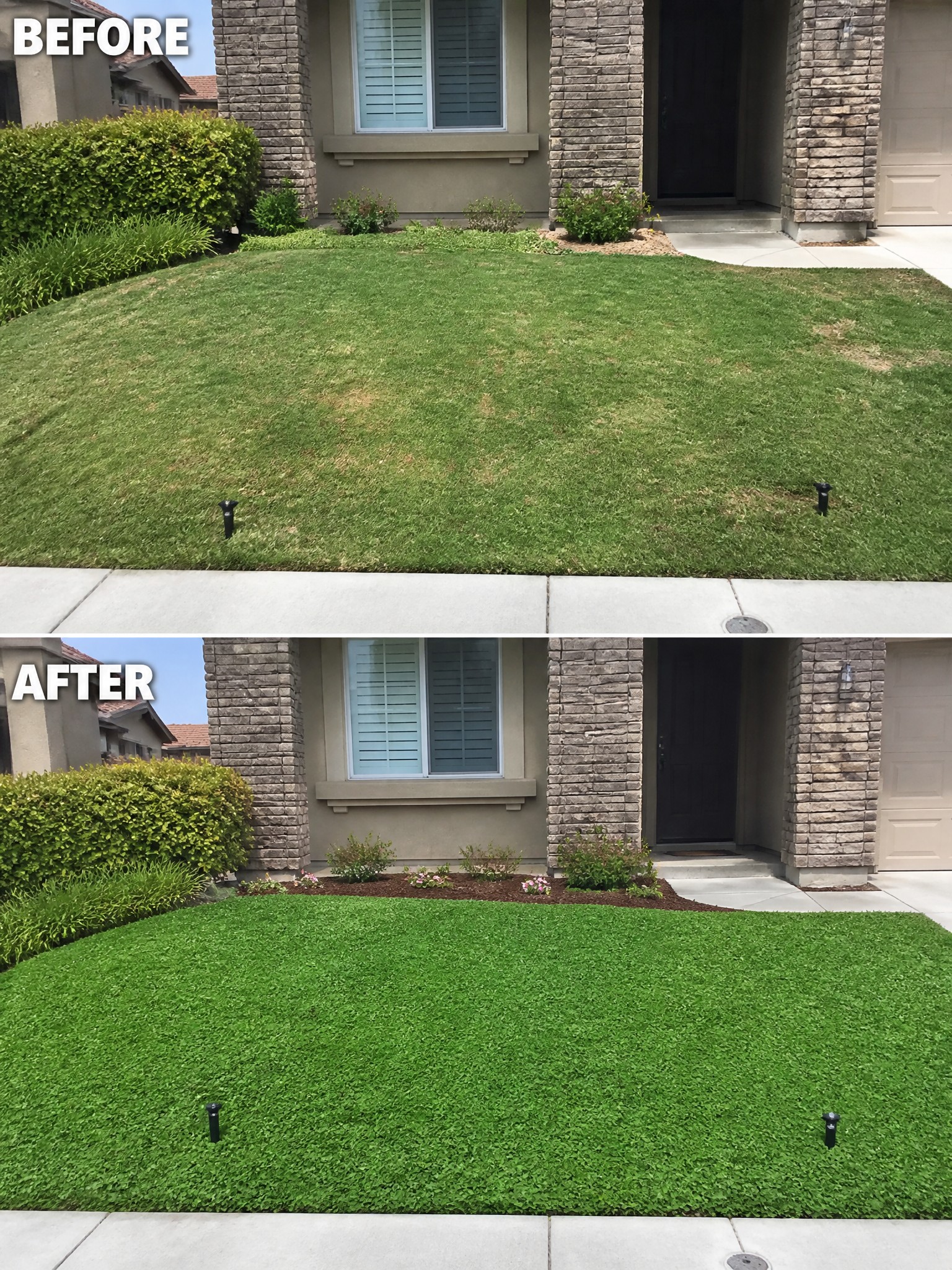 Before and after of patchy lawn upgraded to lush green turf at house entrance