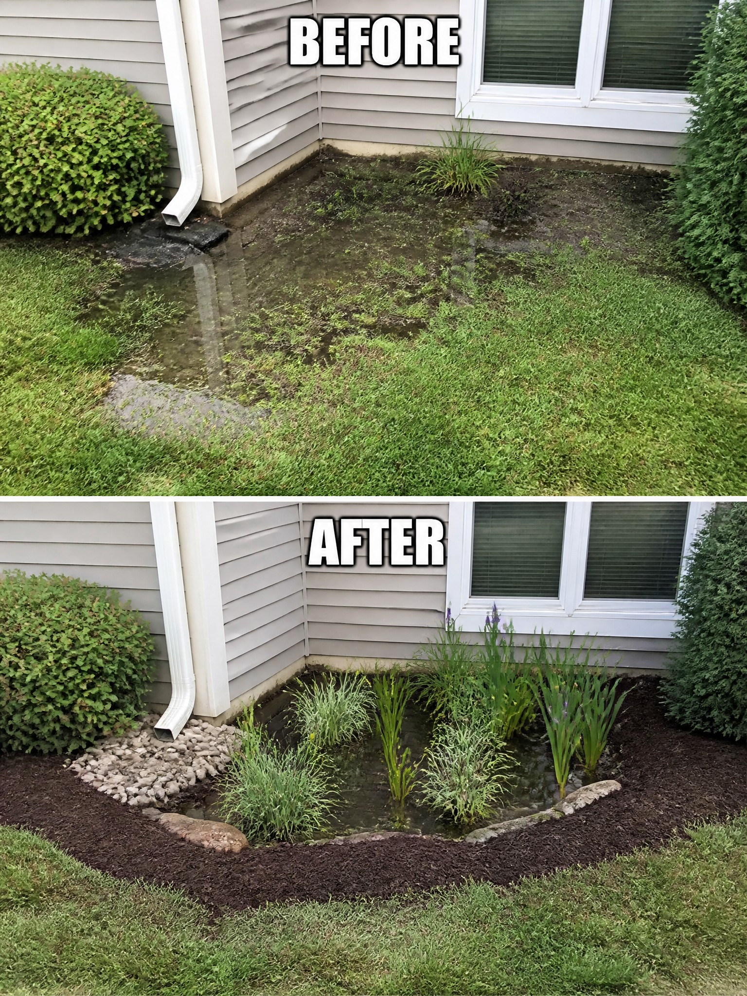 Before-and-after image of a muddy area beside a house turned into a mulched garden bed with rock edging and water plants.