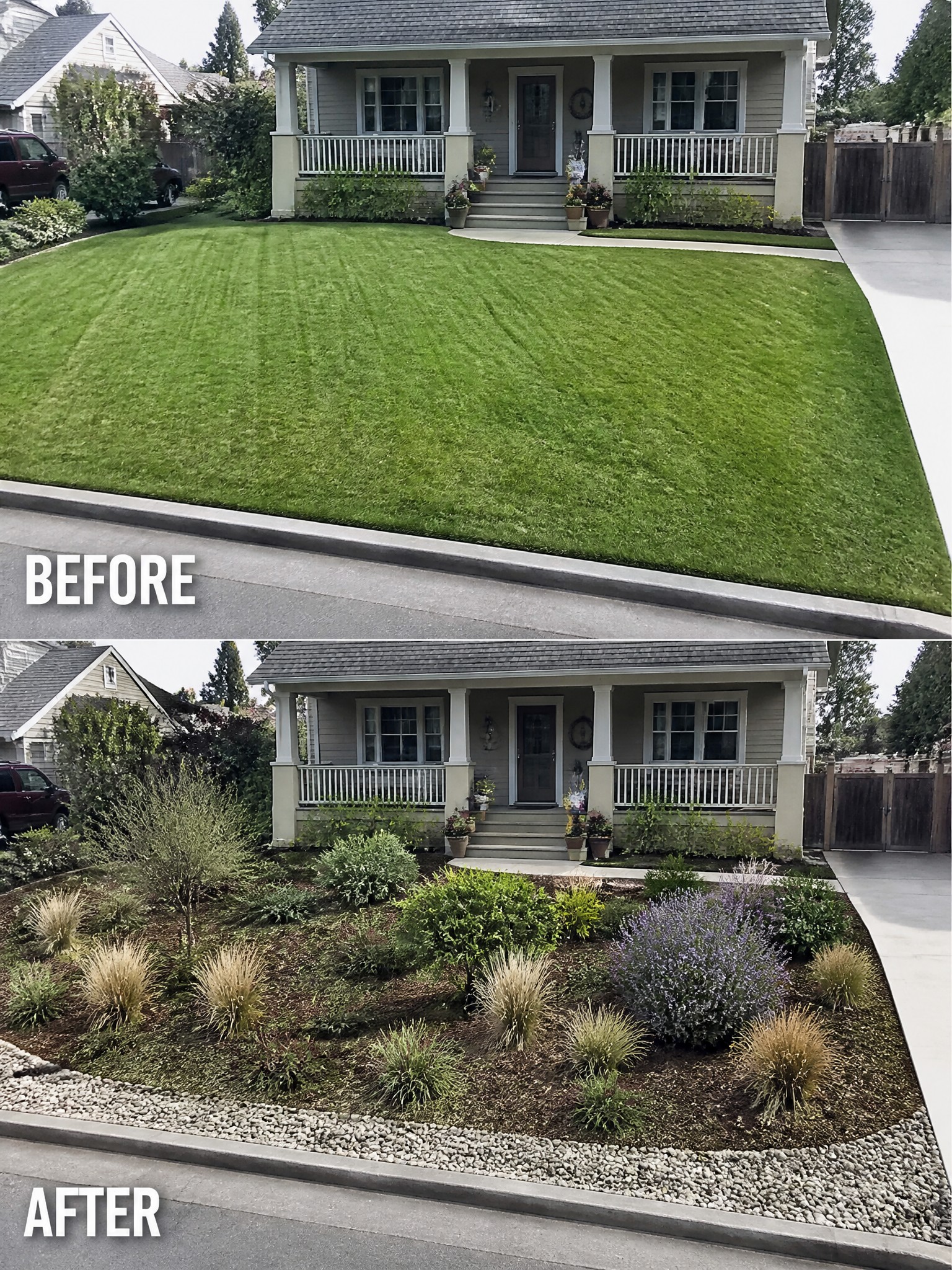 Before-and-after front yard: lush lawn replaced by mulch, shrubs, grasses, and gravel borders.