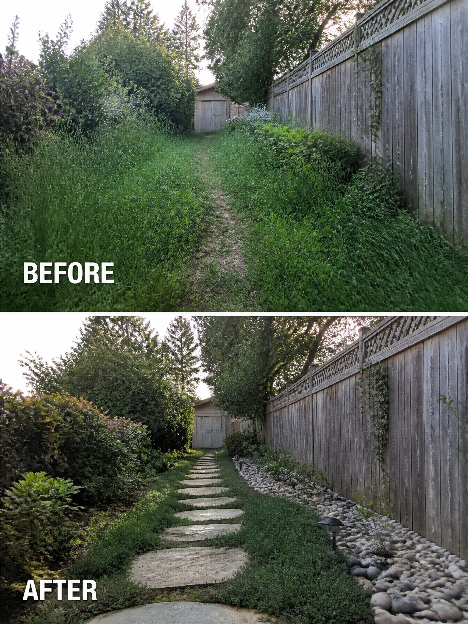 Before and after of overgrown garden path transformed into neat stone walkway with rocks.