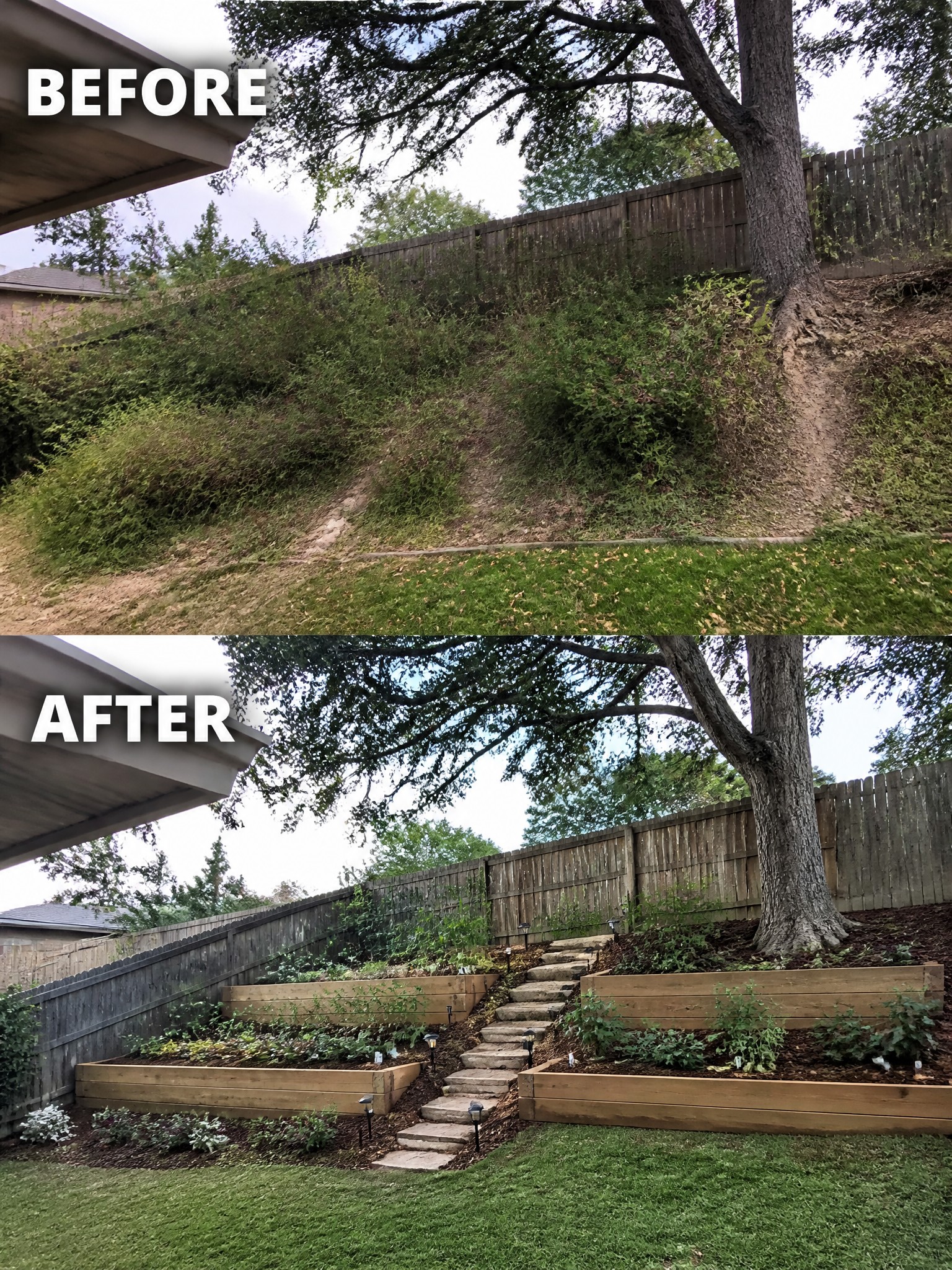 Before and after of sloped backyard turned into terraced wooden garden beds with stone steps