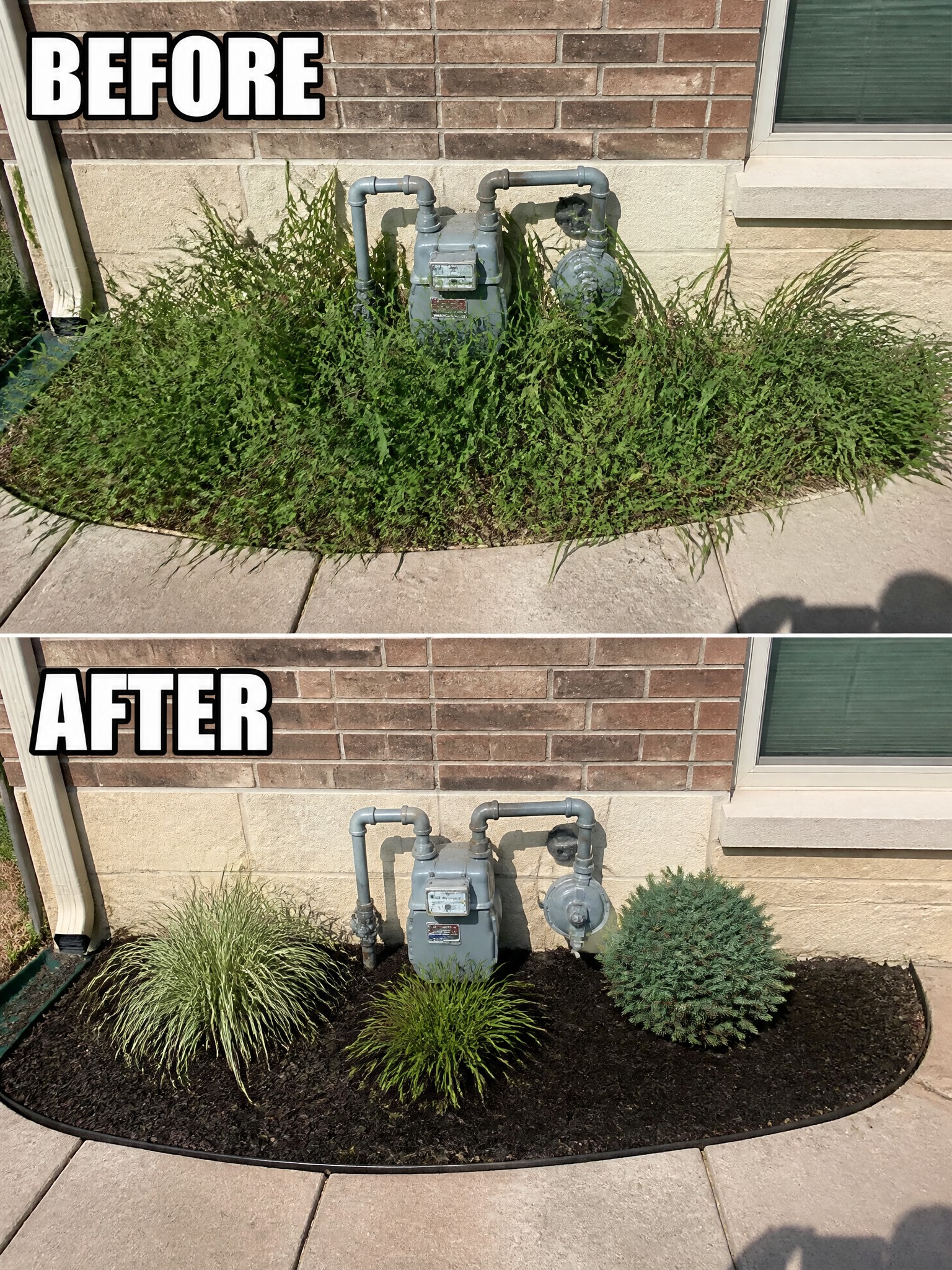 Before-and-after image of an overgrown utility meter area changed into a tidy mulched bed with small shrubs and grasses.