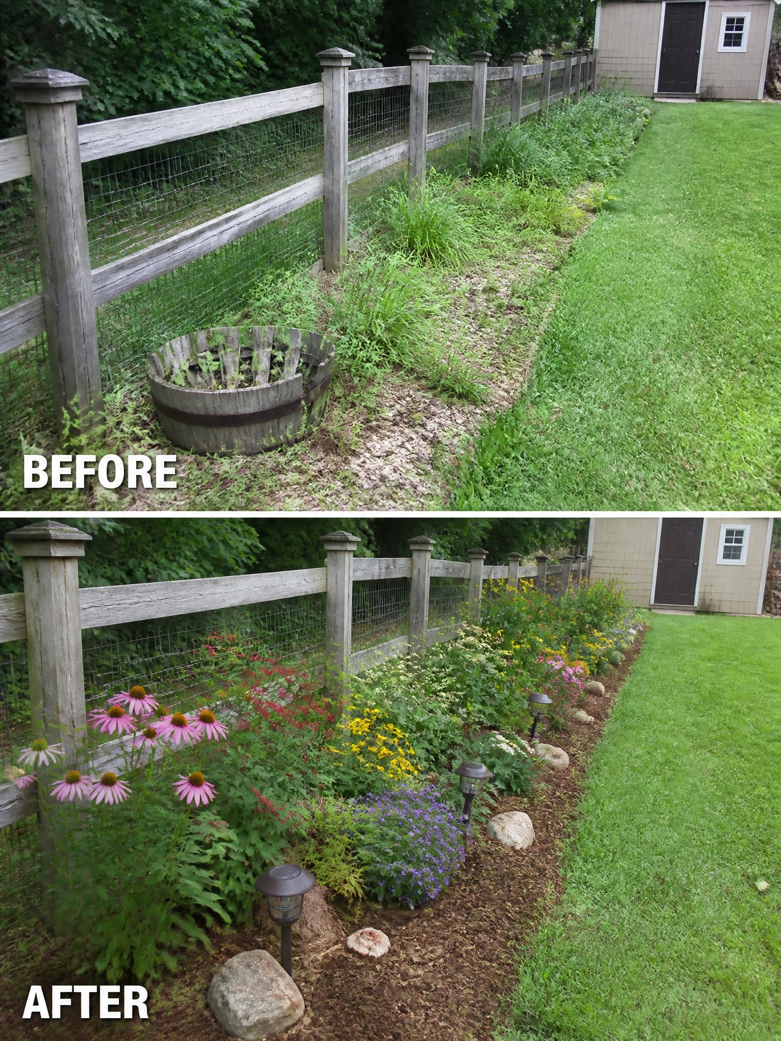 Before and after of weedy fence line transformed into colorful flower garden with lights.