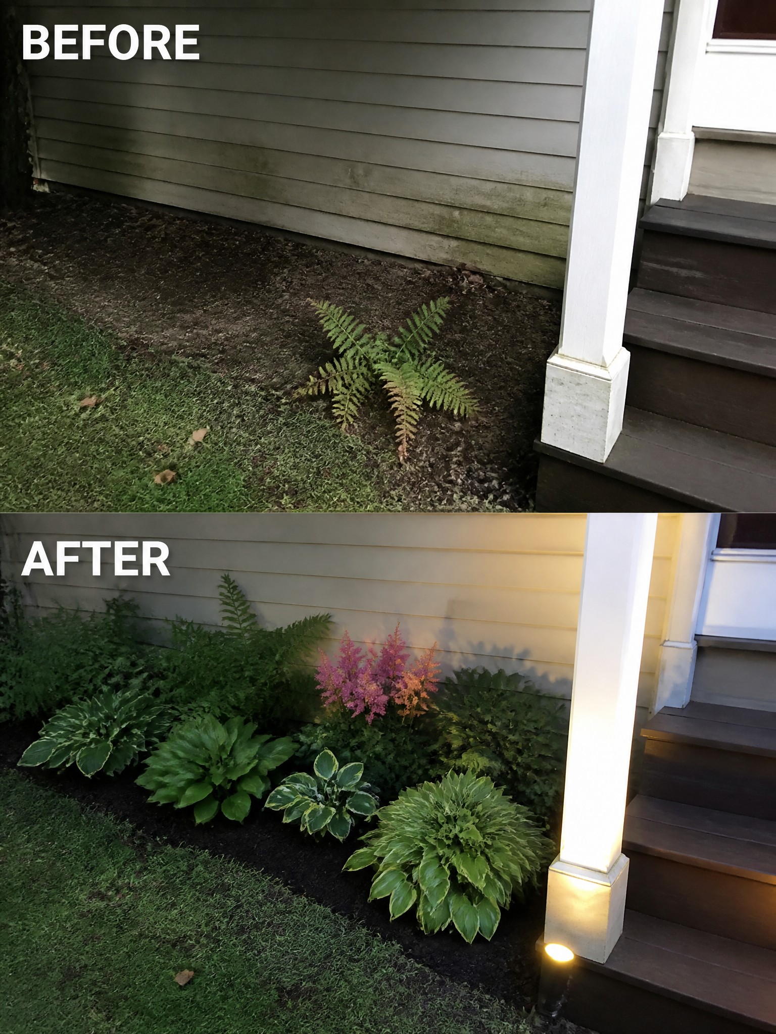Before and after of bare dirt fern transformed into lush hosta garden with lights