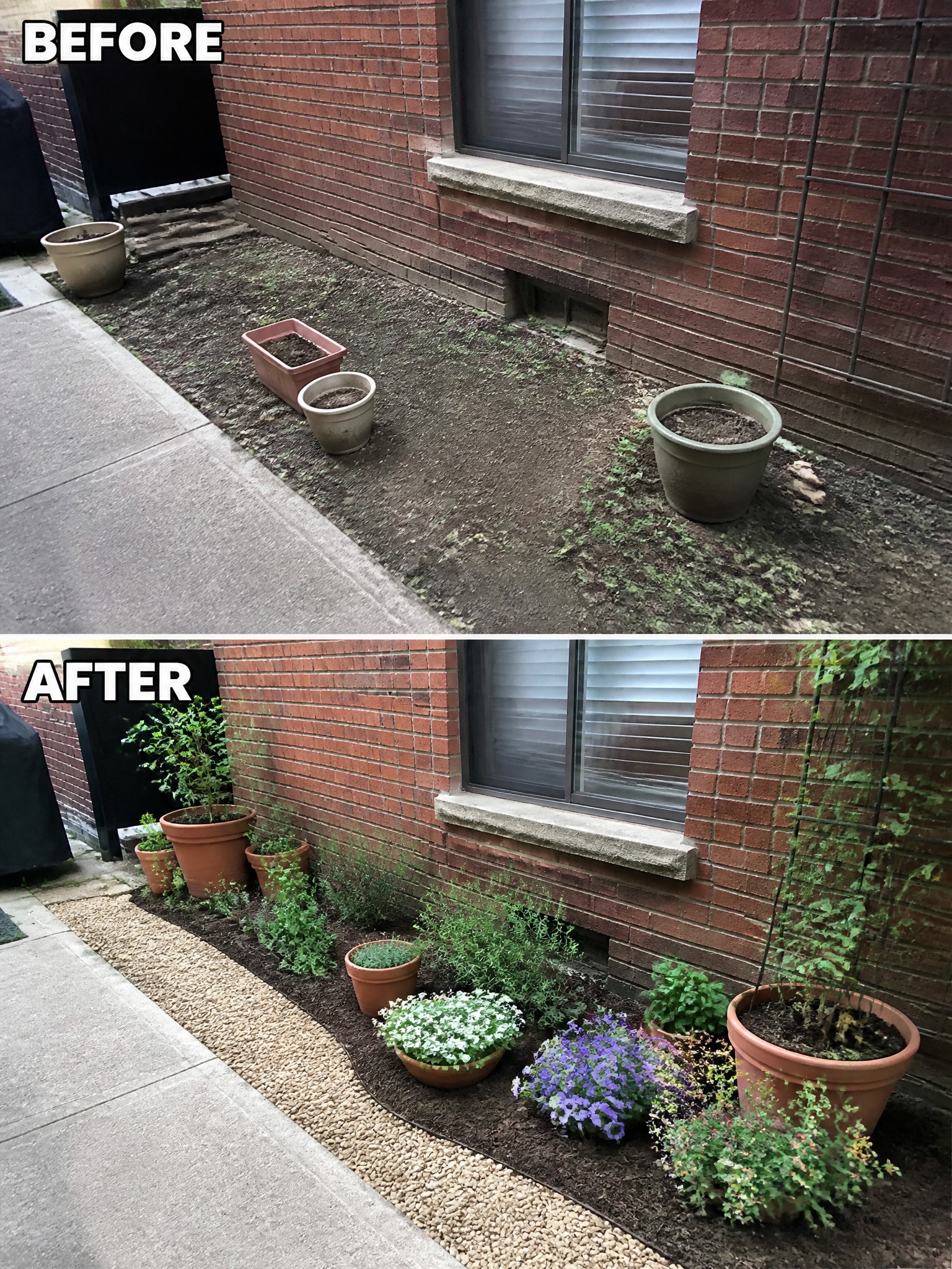 Before and after of bare dirt transformed into lush garden with potted flowers and plants.
