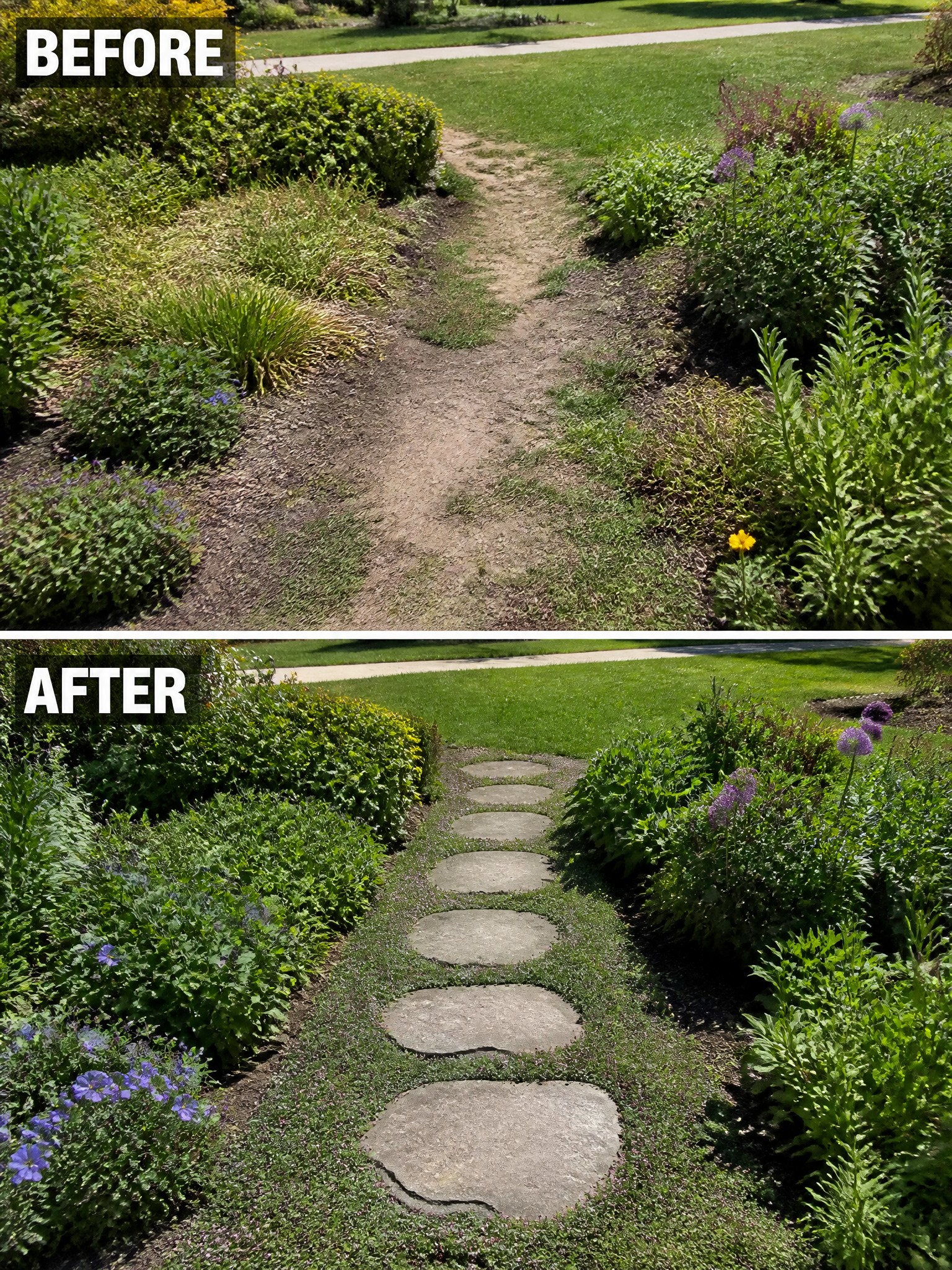 Before and after of overgrown dirt path lined with stepping stones and flowers.