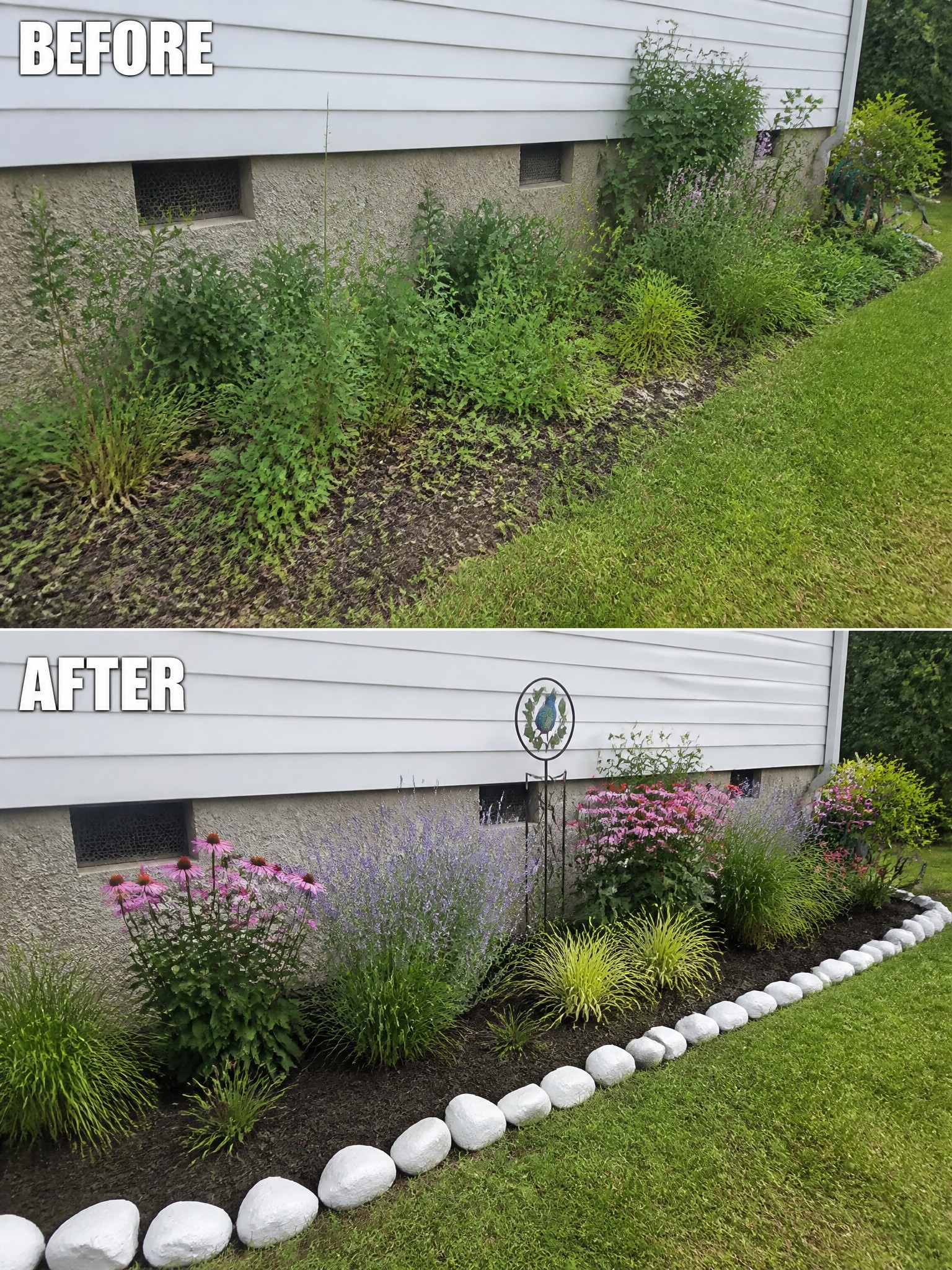 Before and after of overgrown garden bed landscaped with flowers and rocks along house.