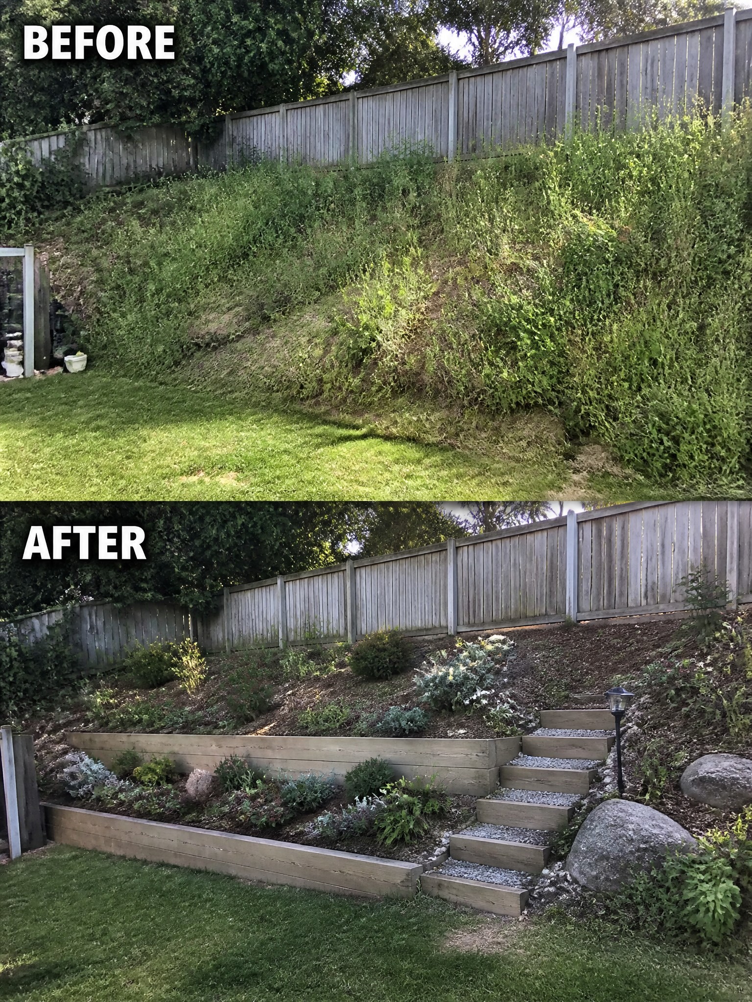 Before-and-after image of an overgrown hillside yard changed into terraced garden beds with wooden retaining walls and gravel steps.
