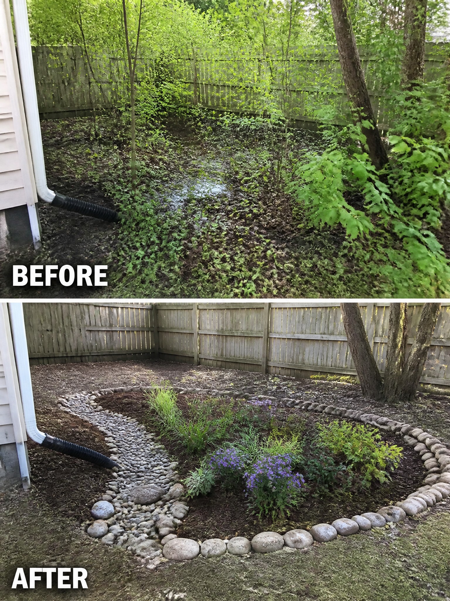 Before-and-after image of an overgrown backyard changed into a landscaped area with stone edging, a gravel path, and planted garden beds.