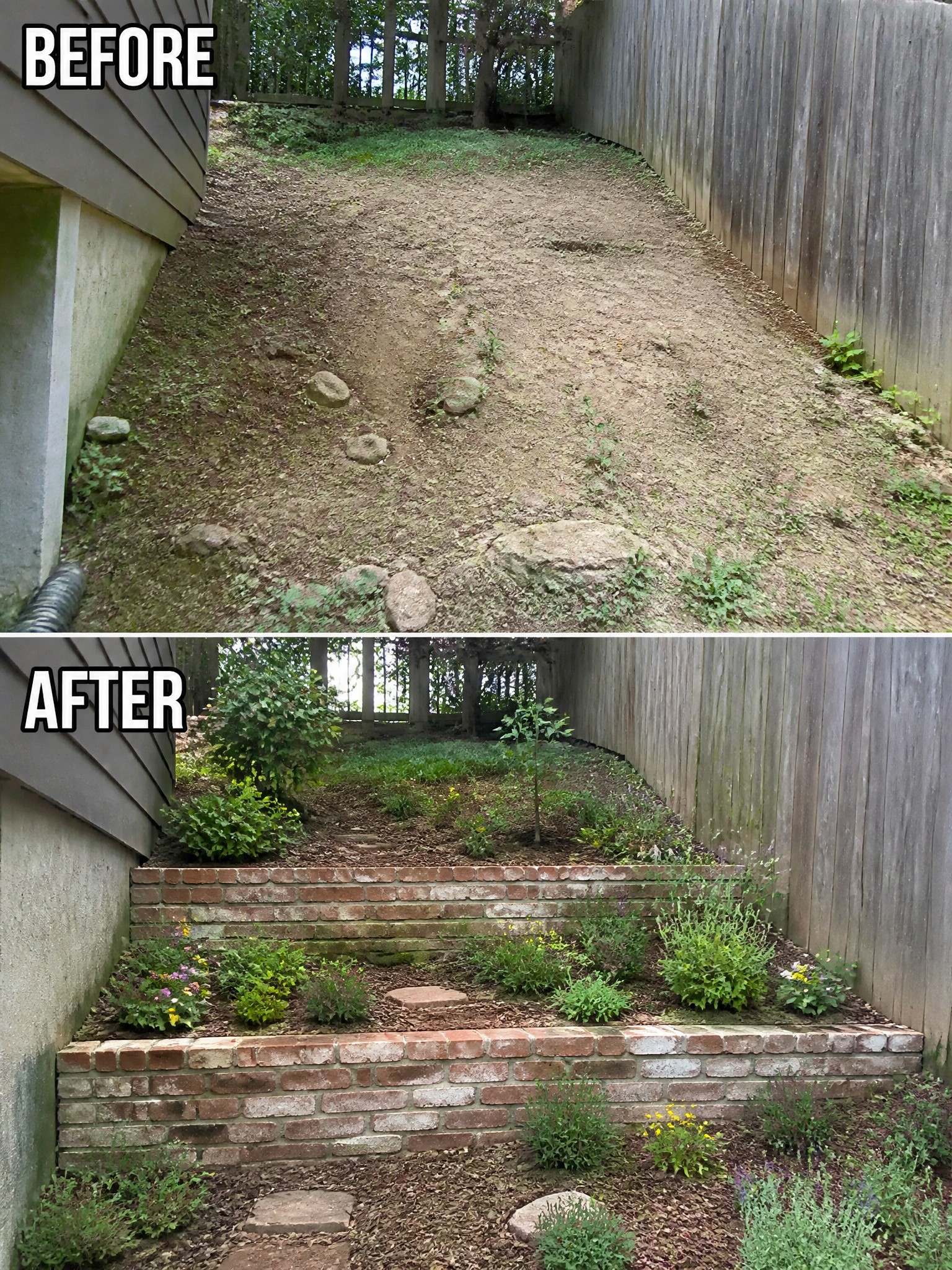 Before-and-after image of a sloped backyard changed into terraced garden beds using brick retaining walls, mulch, and stepping stones.
