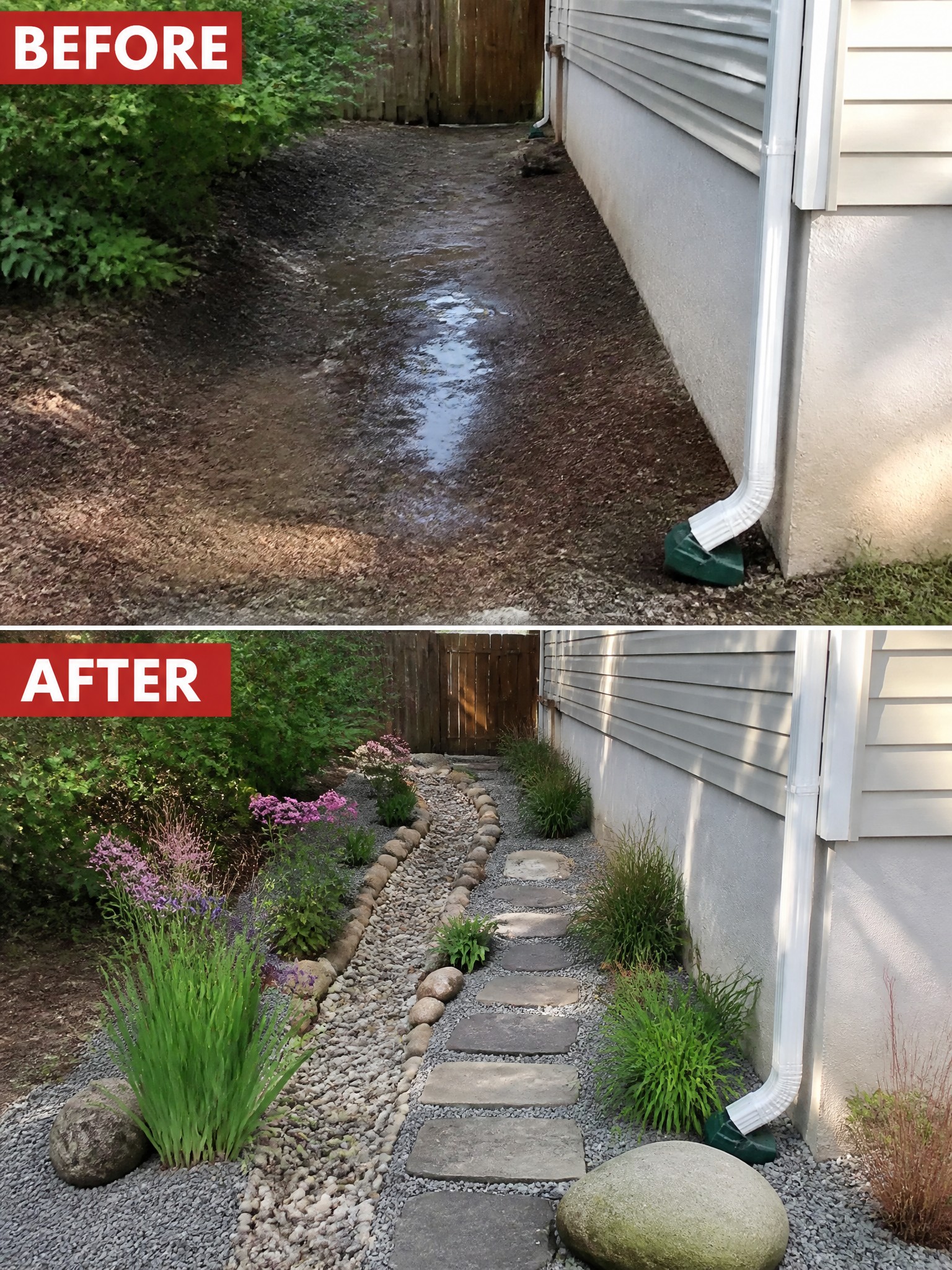 Before-and-after image of a muddy side yard path transformed into a gravel walkway with stepping stones and planted borders.