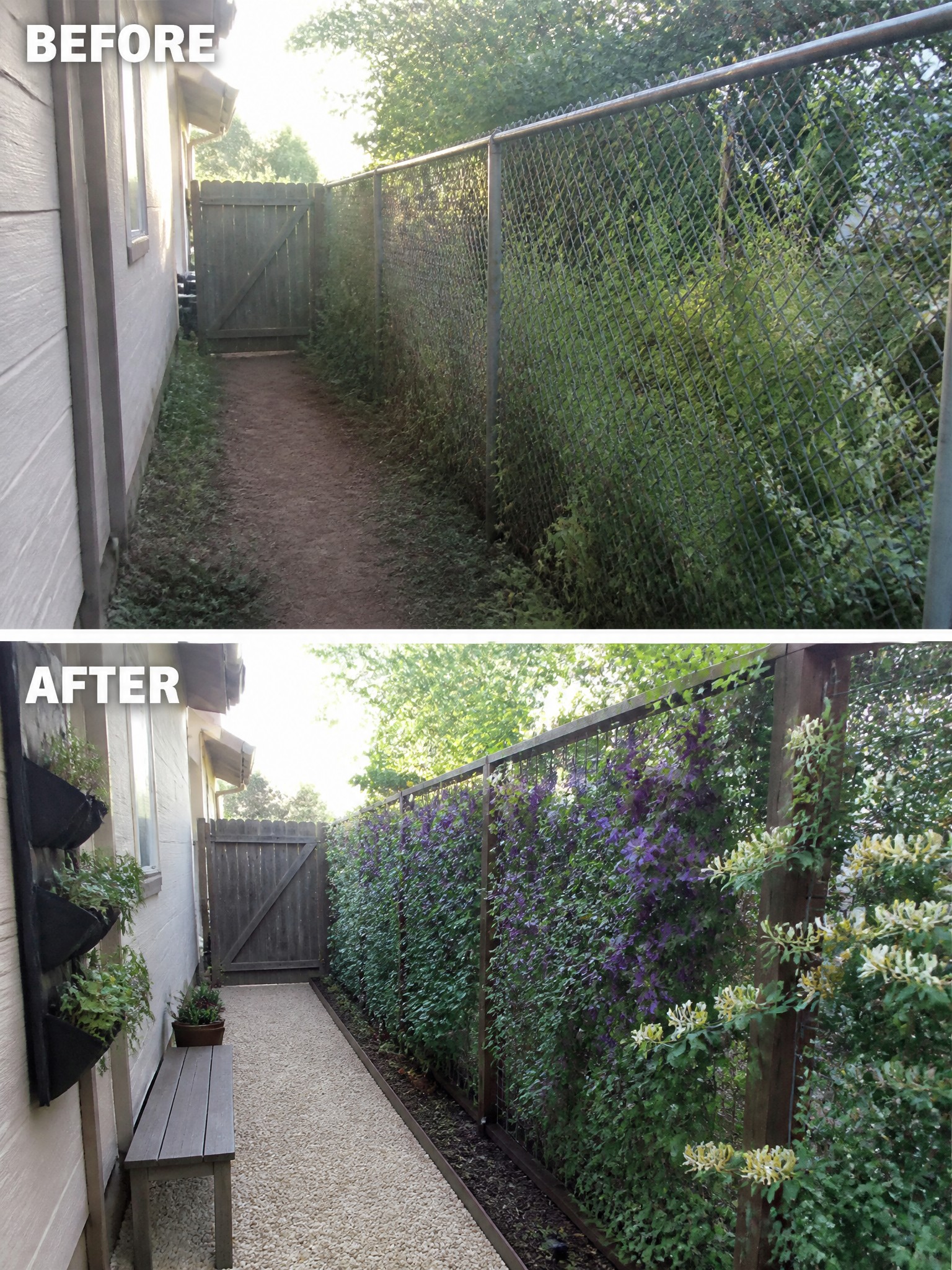 Before-and-after image of a narrow side yard showing a dirt path and chain-link fence changed into a gravel walkway with climbing vines and a wooden bench.