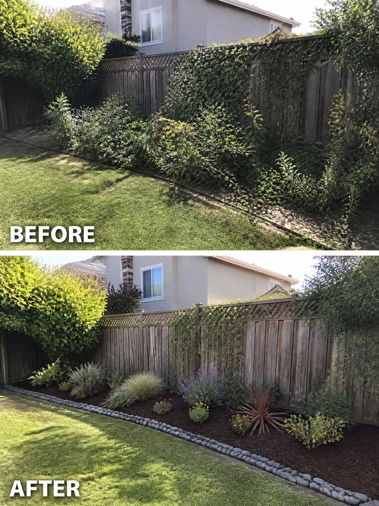 Before and after of overgrown backyard fence line transformed into neat mulched garden bed