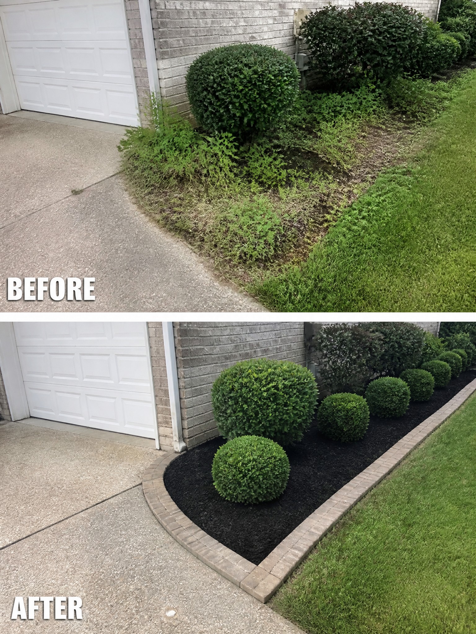 Before-and-after image of an overgrown garden bed next to a driveway changed into a neat mulched bed with brick edging and trimmed shrubs.