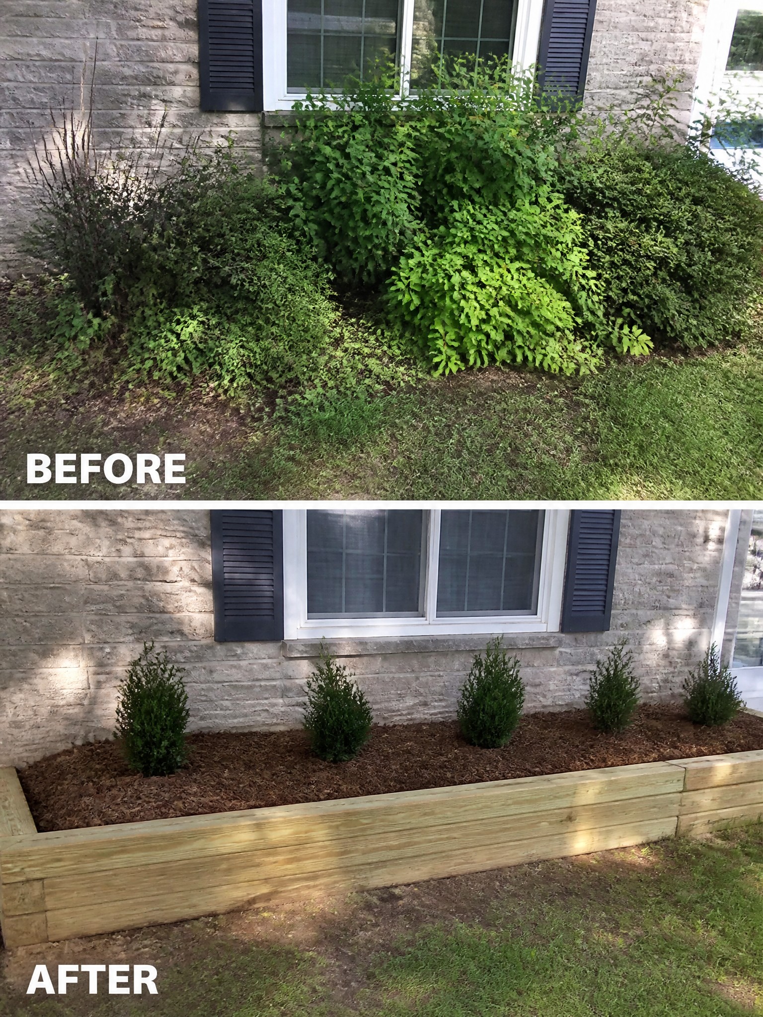 Before and after: overgrown bushes replaced by small shrubs in mulched wooden bed.