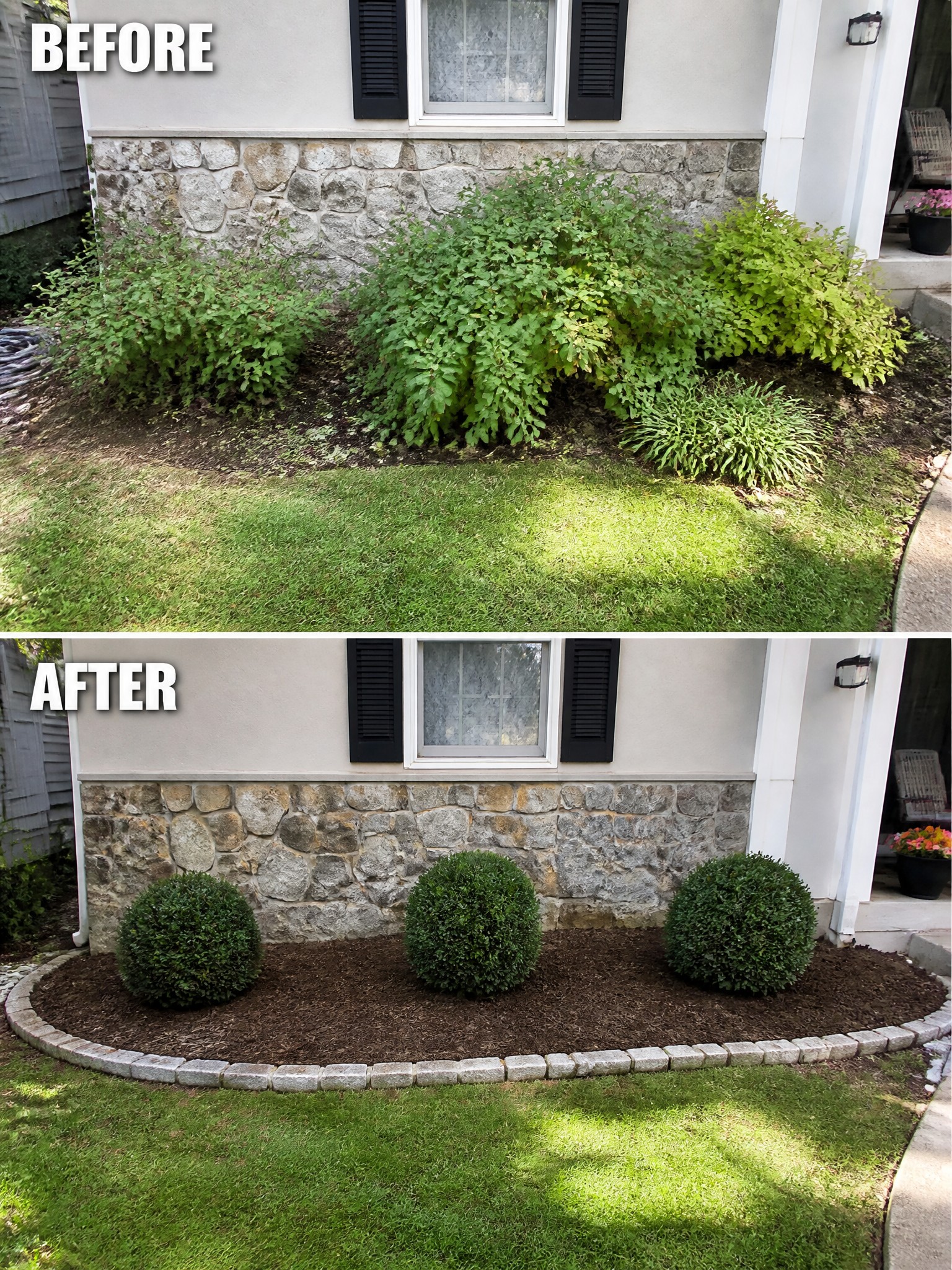 Before-and-after image of an overgrown foundation planting replaced with three rounded shrubs in a mulched bed edged with stone.