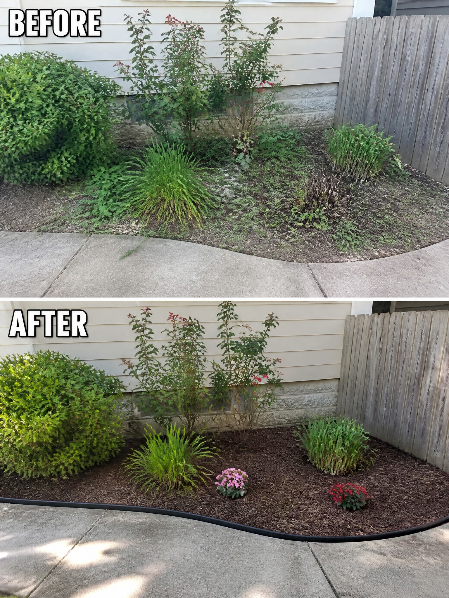 Before-and-after garden bed with mulch, trimmed plants, and added flowers.