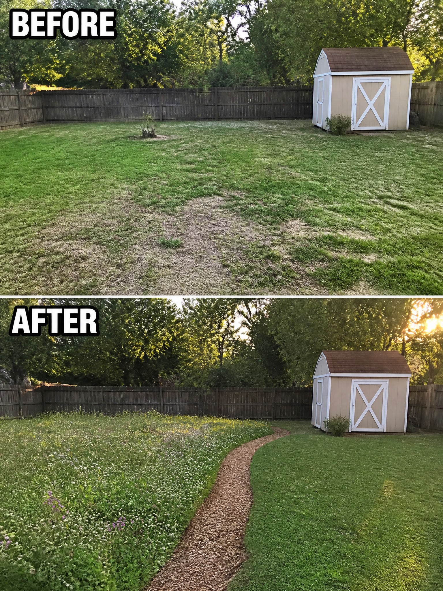 Backyard before with patchy grass and after with curving gravel path amid white flowers