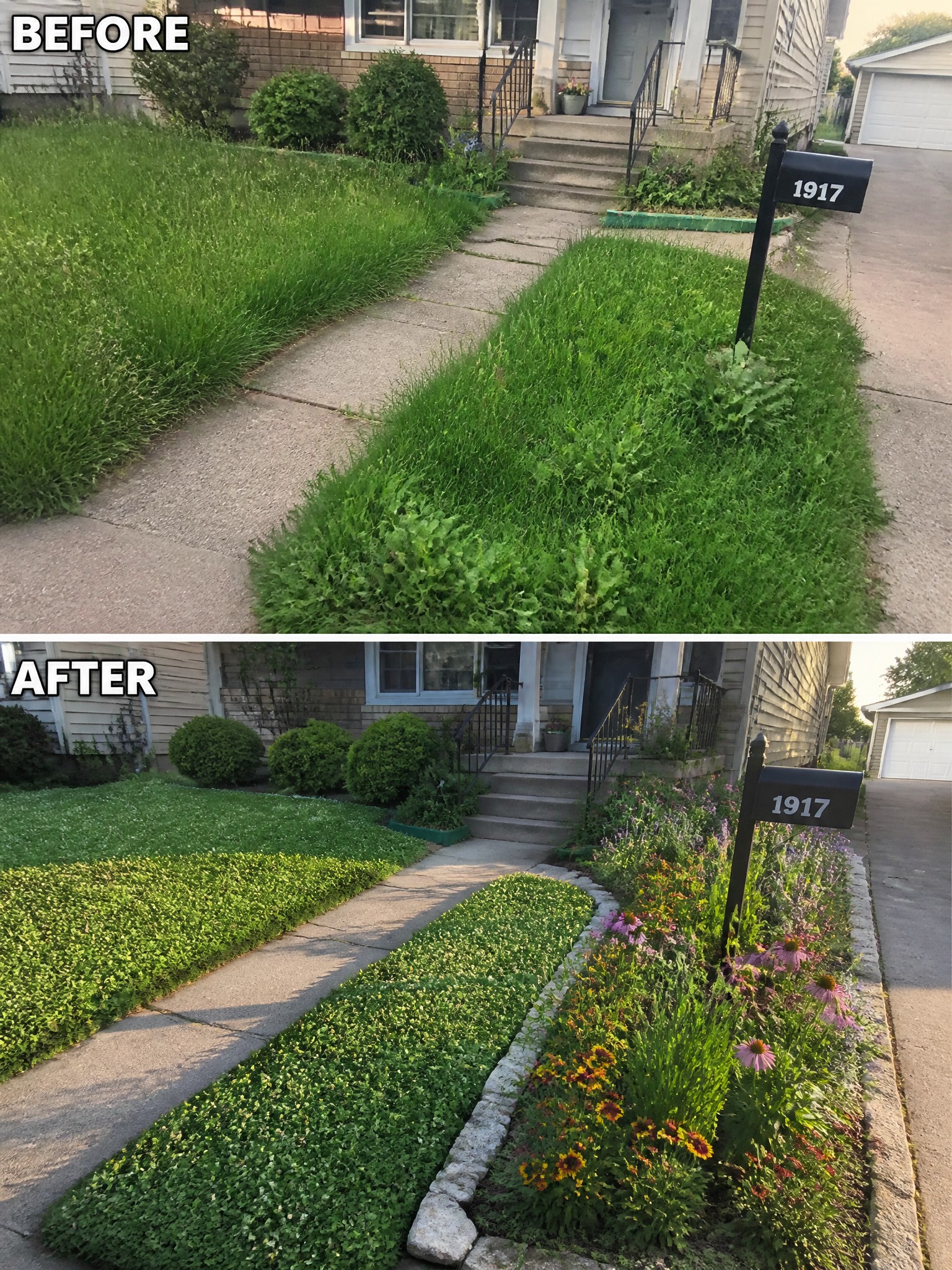 Before and after of front yard with weeds replaced by neat grass and flowers