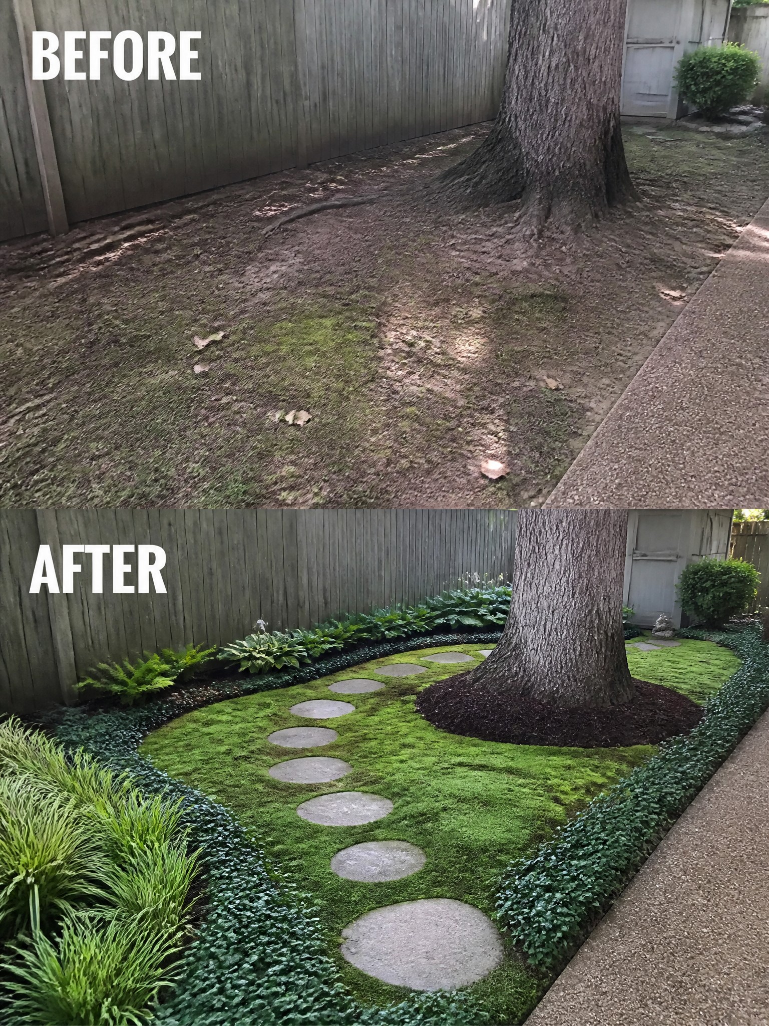 Before-and-after image of a bare backyard with patchy dirt changed into a landscaped area with green ground cover, stepping stones, planted borders, and mulch around the tree.
