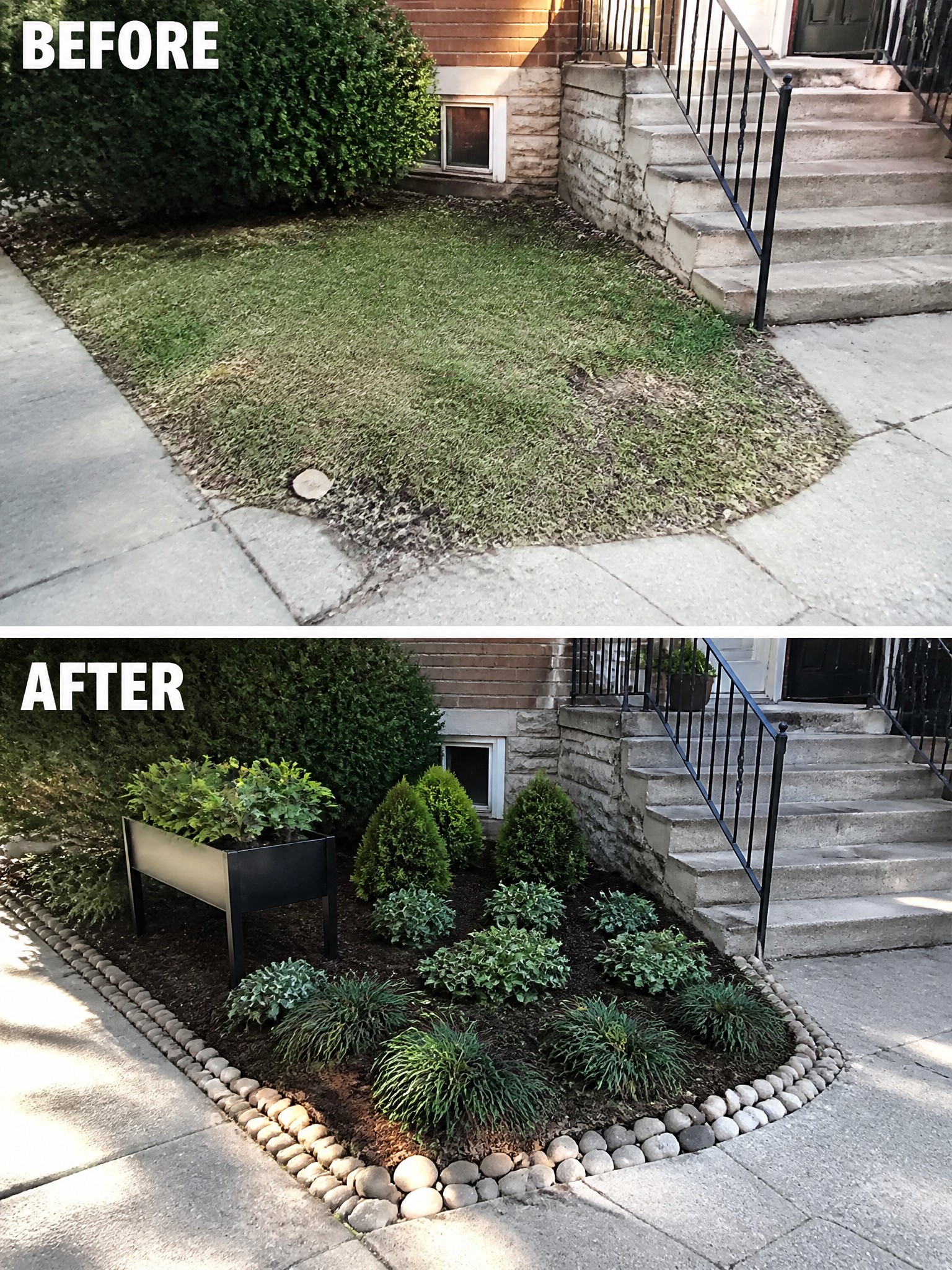 Before and after of front yard transformed from patchy grass to mulched garden with plants and rocks.