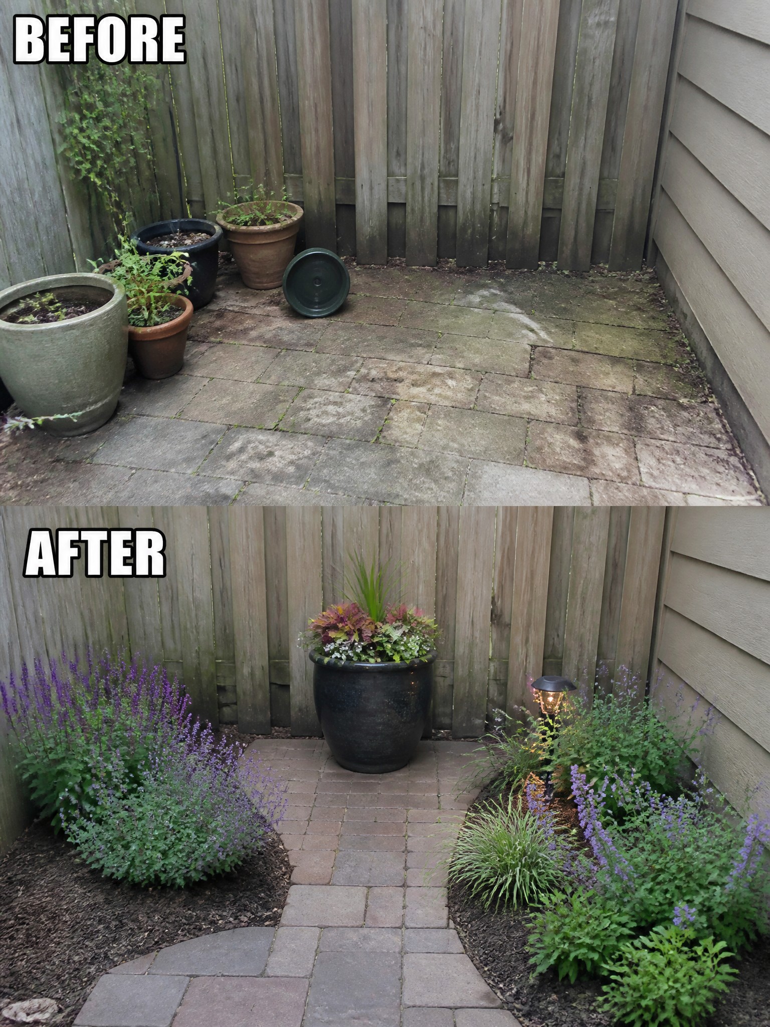 Before-and-after image of a plain paved backyard transformed with defined mulched garden beds, structured planting, and a large central pot.