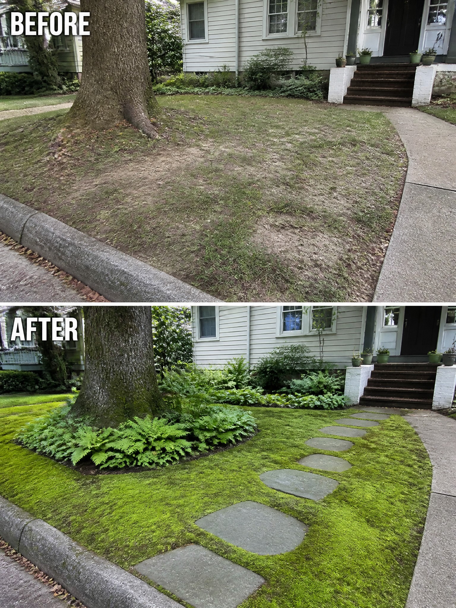 Before patchy dry lawn and after lush moss garden with ferns and stepping stones