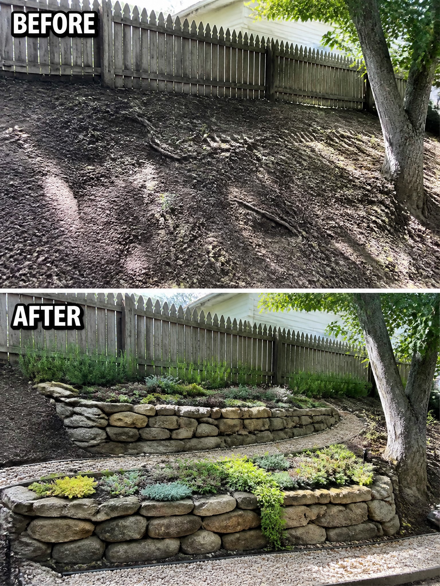 Before-and-after backyard slope transformed into terraced stone garden with plants