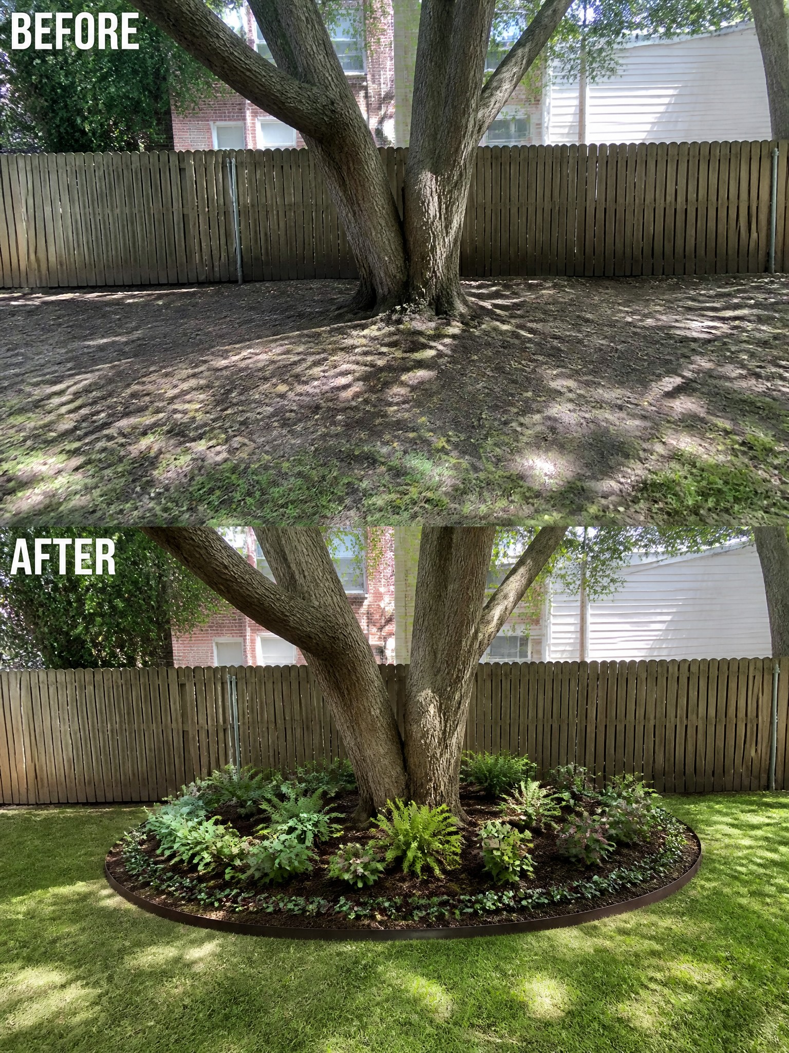 Before and after of tree base transformed from bare dirt to planted garden bed with edging