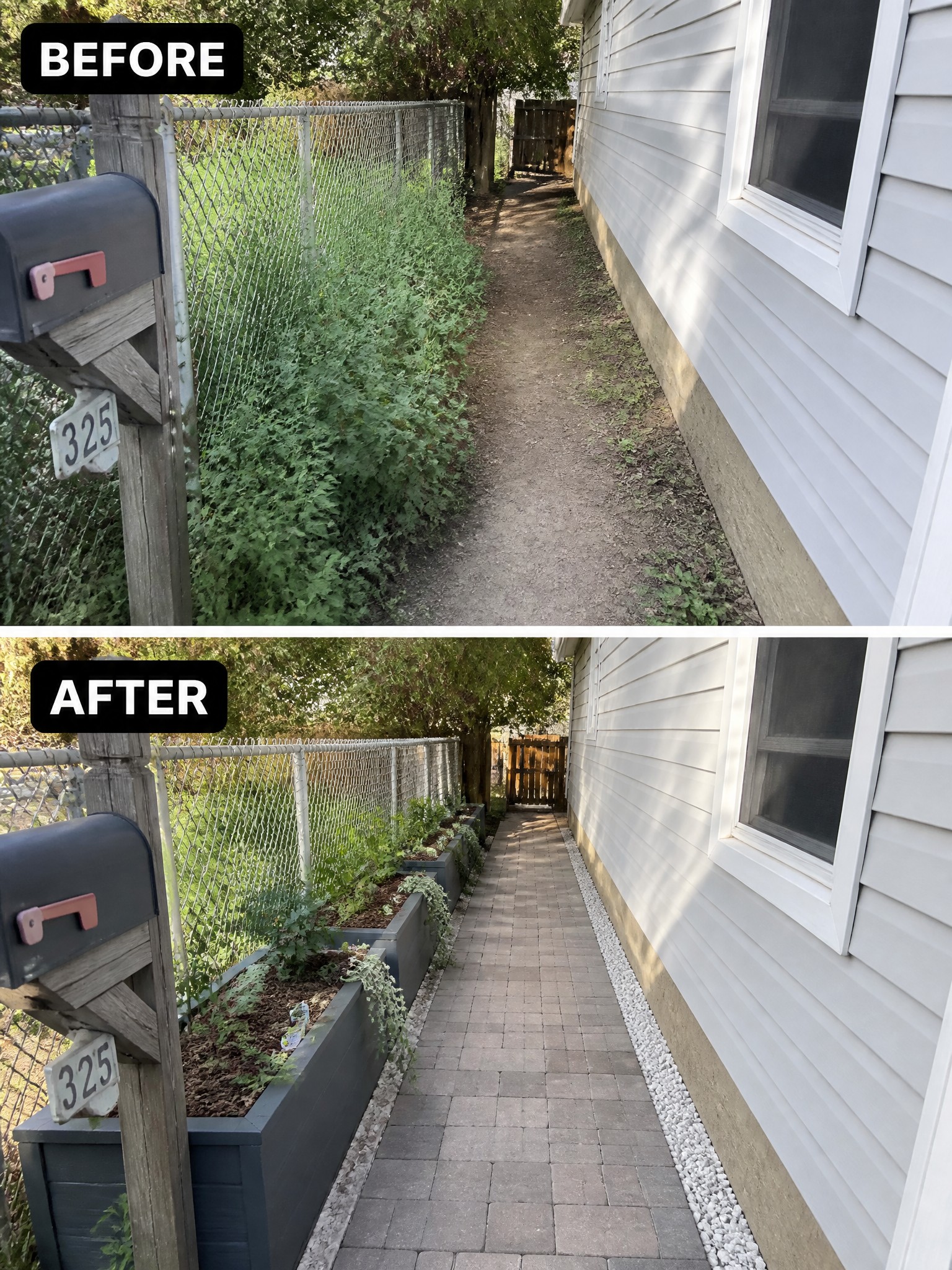 Before and after of overgrown dirt path transformed into paved walkway with planters.