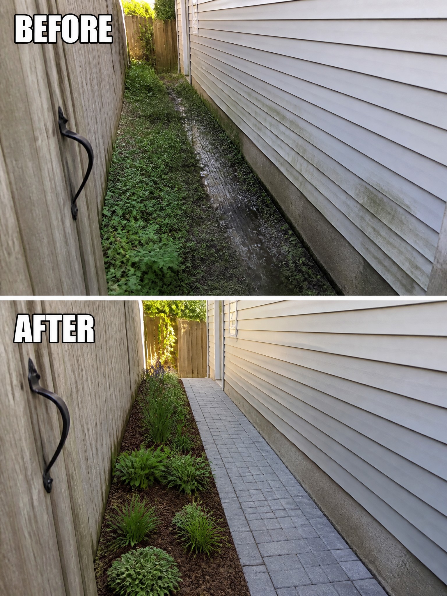 Before and after of overgrown muddy path transformed into paved garden walkway beside house.