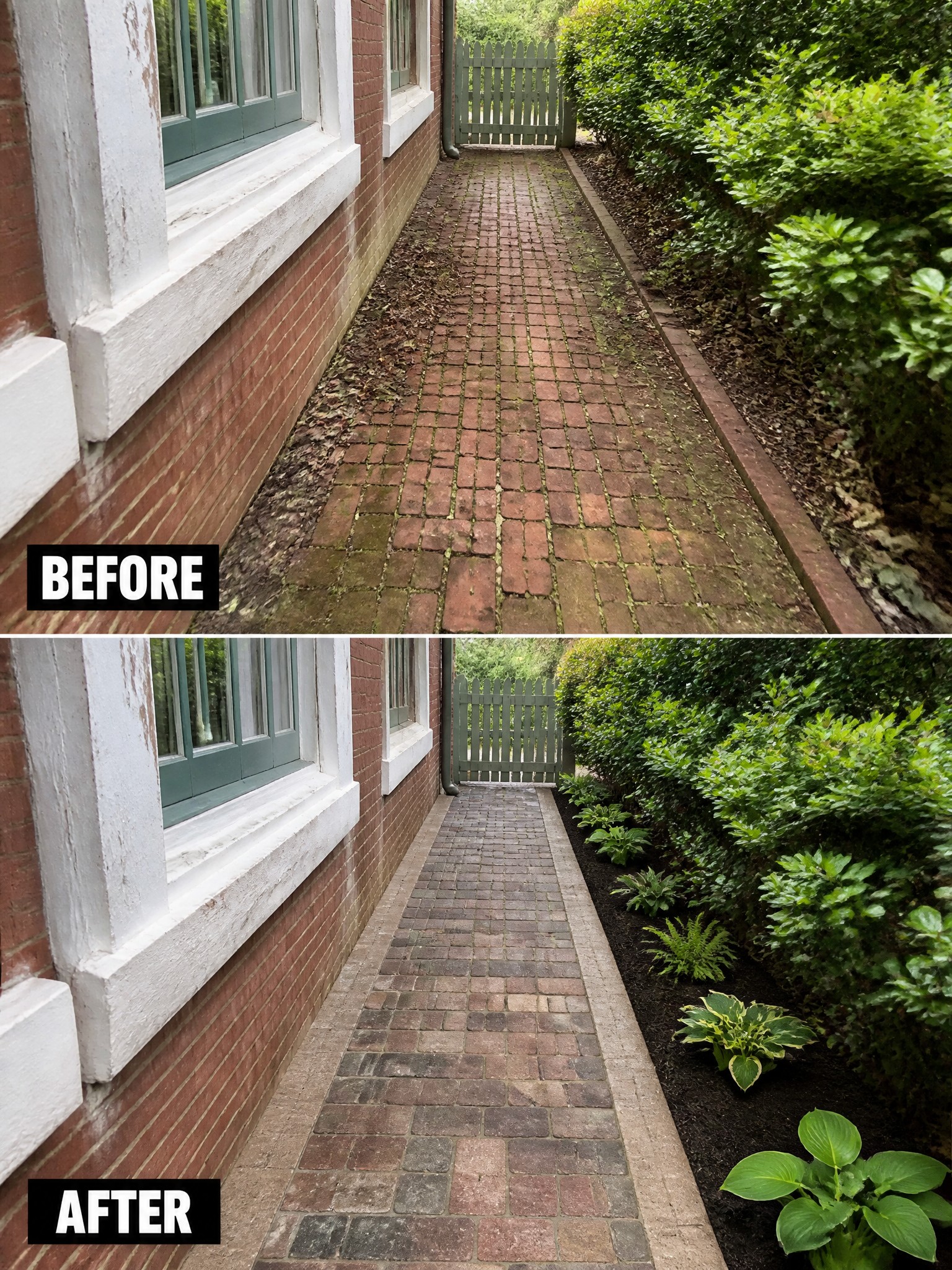 Before-and-after brick path cleaning with fresh mulch and hosta garden bed added.
