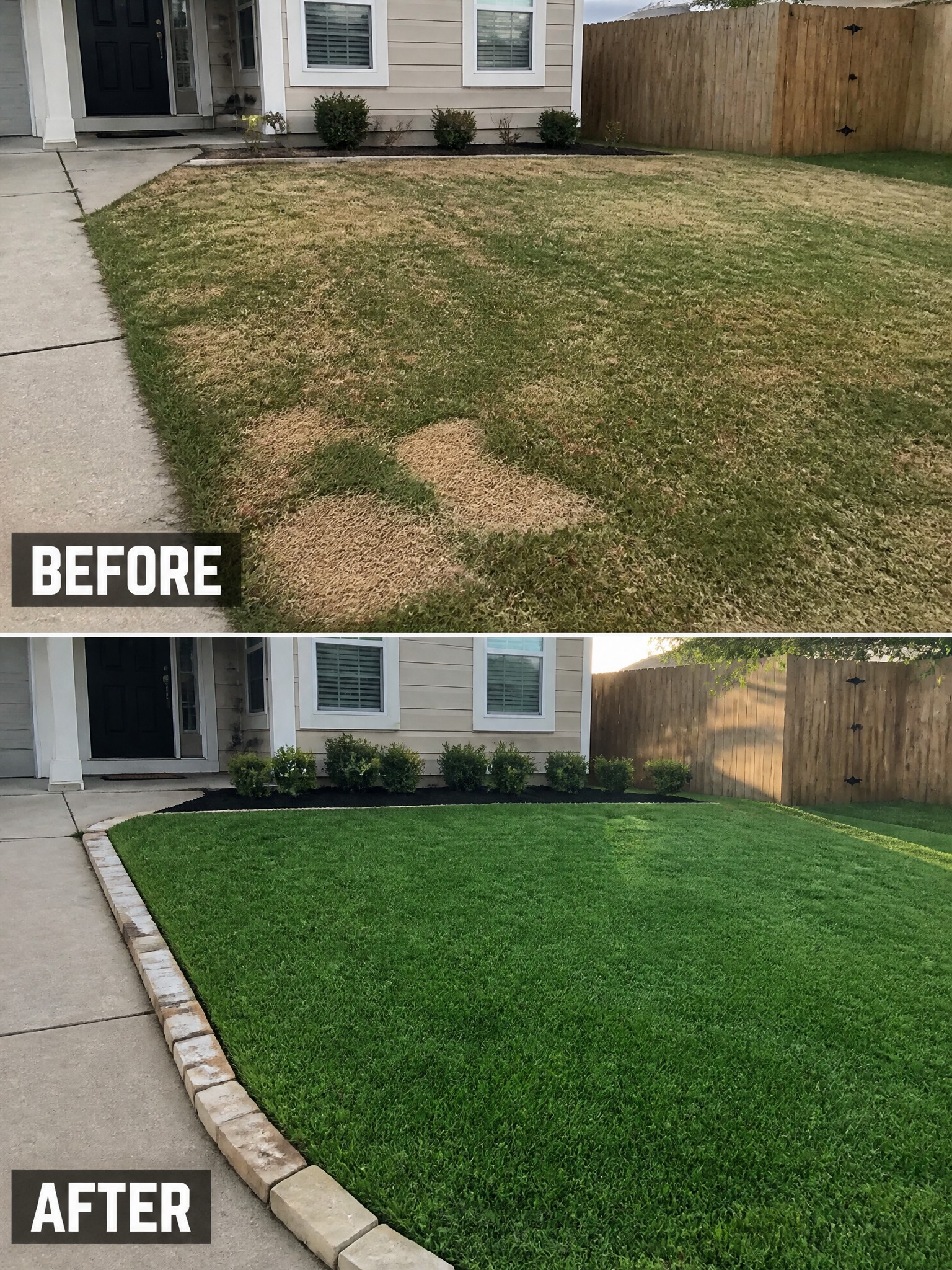Before and after views of patchy brown lawn transformed into lush green grass