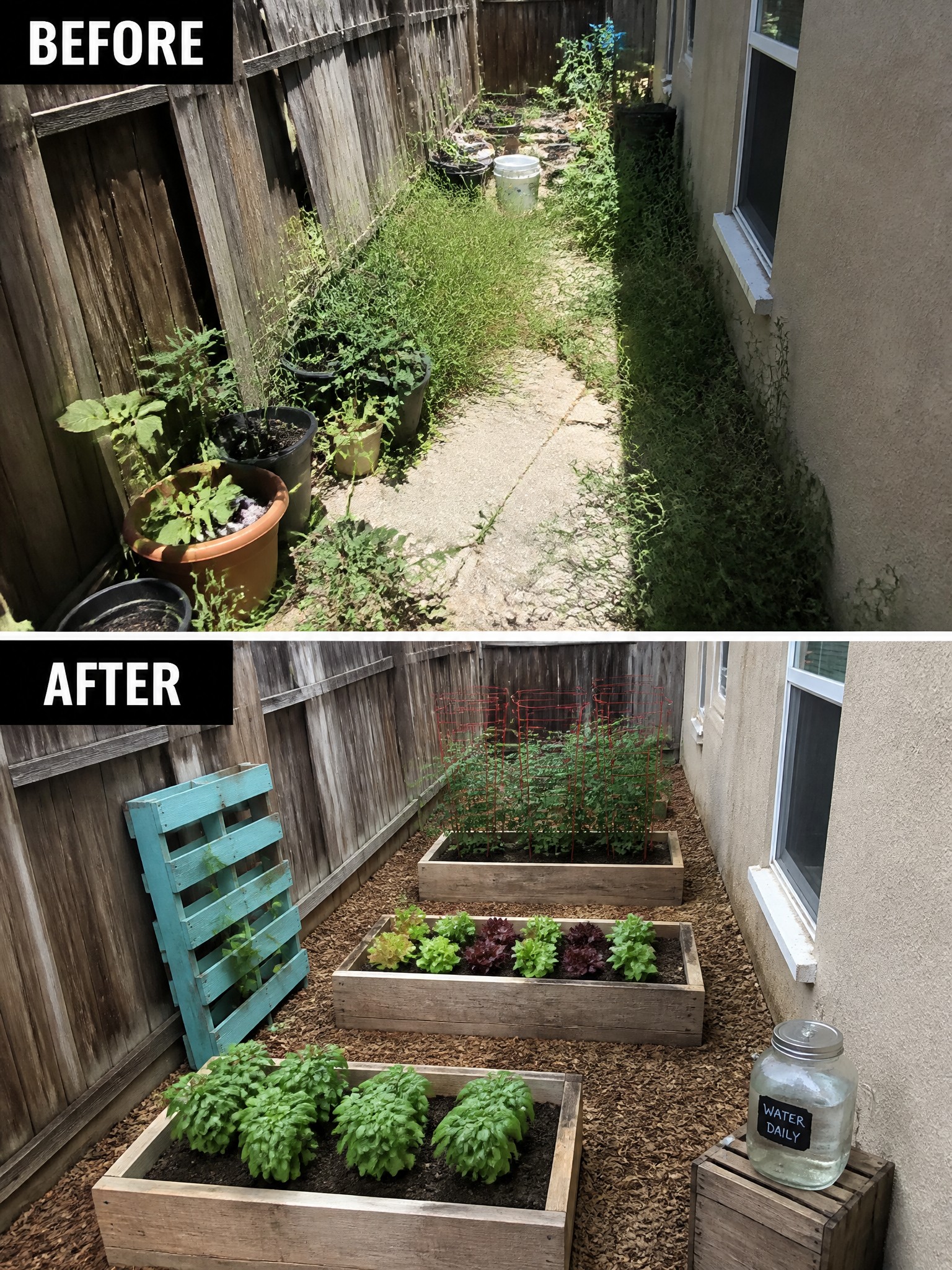 Before and after of narrow yard transformed from overgrown mess to tidy raised garden beds.