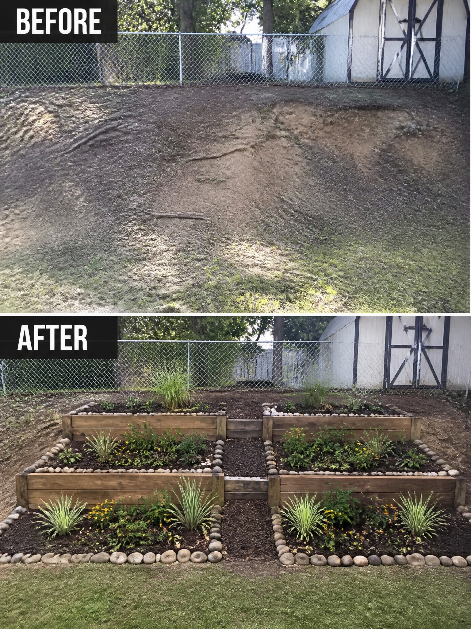Before and after of bare dirt slope turned into raised wooden garden beds with plants.