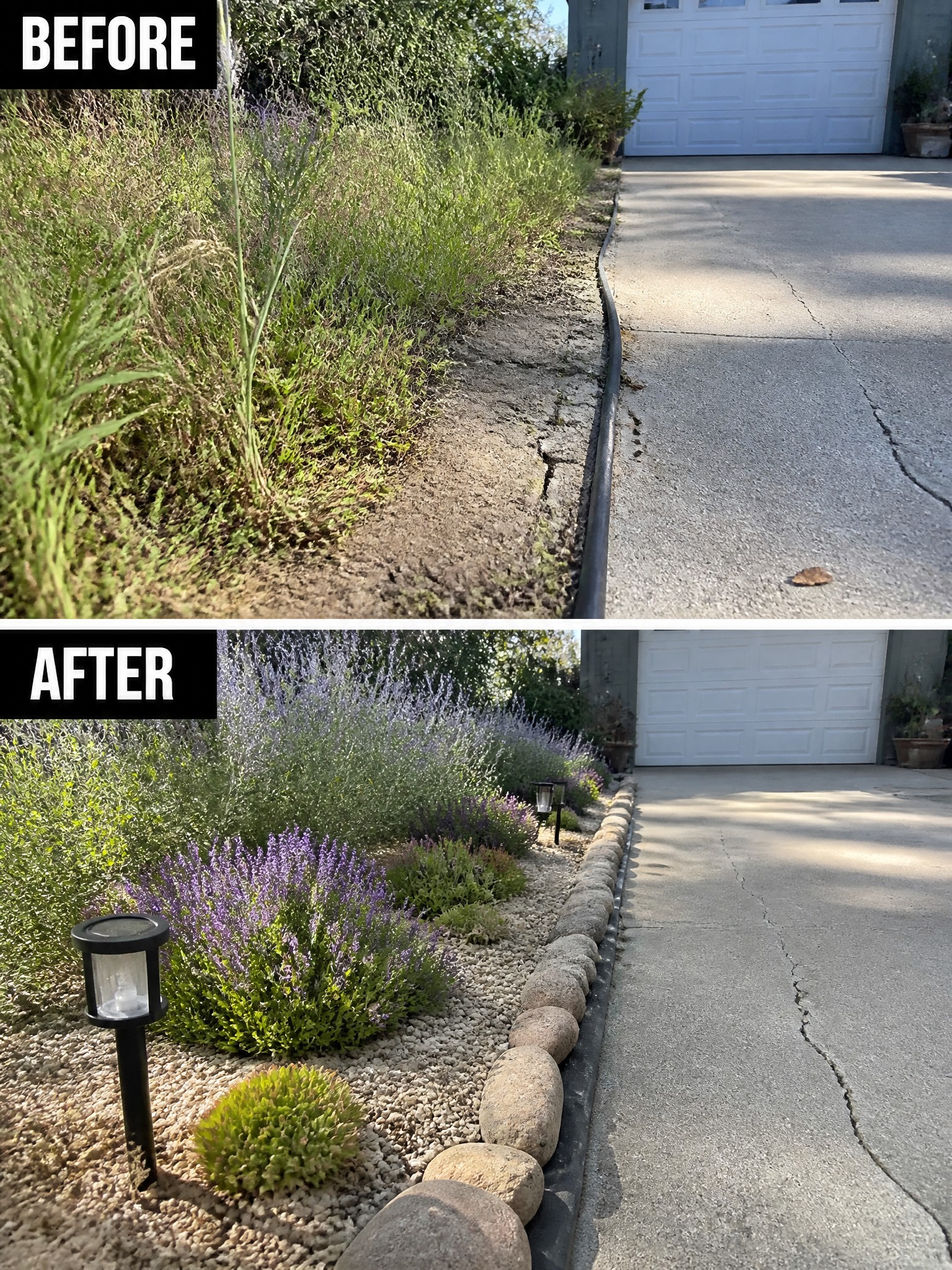Before and after of weedy driveway edge transformed into purple flower garden with rocks.