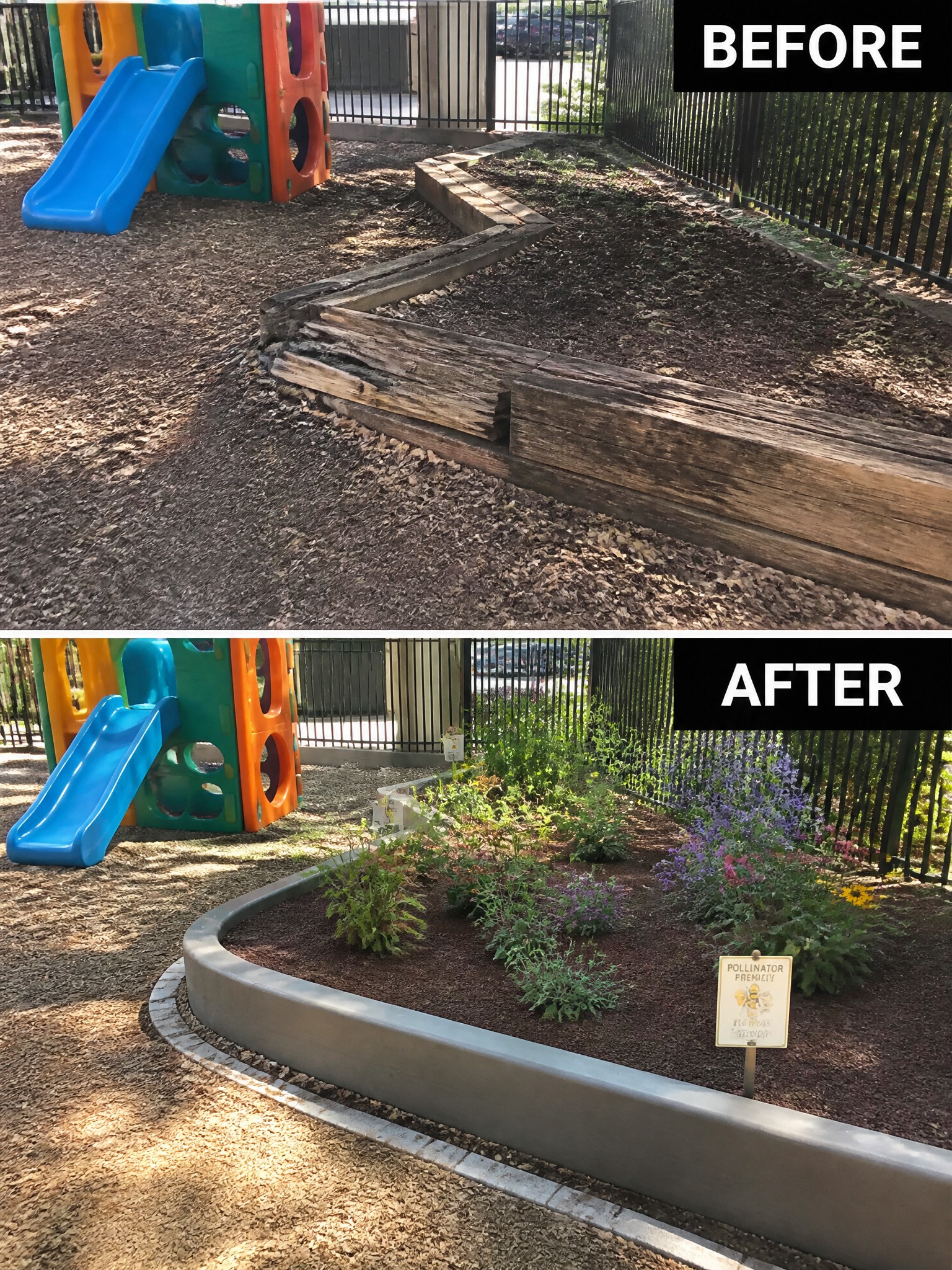 Before and after playground garden: rotting wood replaced by curved concrete with flowers