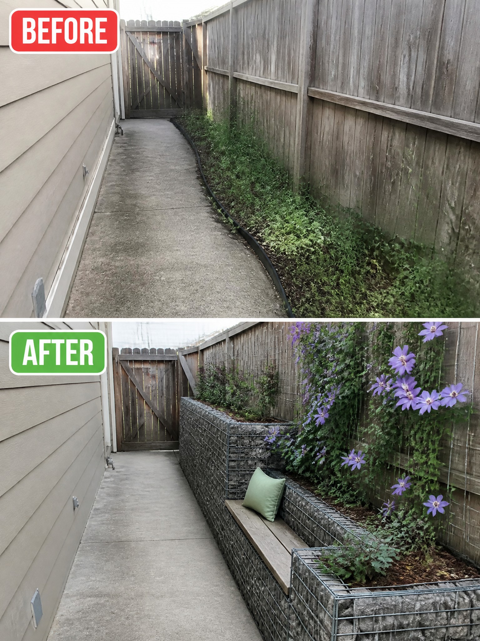 Before-and-after image of an overgrown side yard path changed into structured gabion raised beds with a bench and flowering vines on trellises.