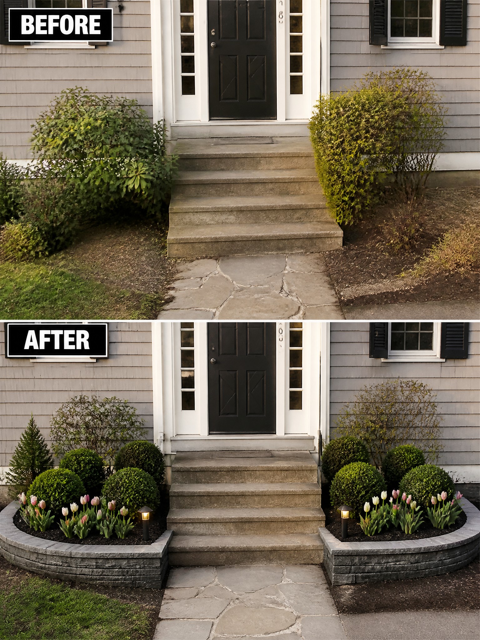 Before and after front steps with curved stone walls, shrubs, and tulips.