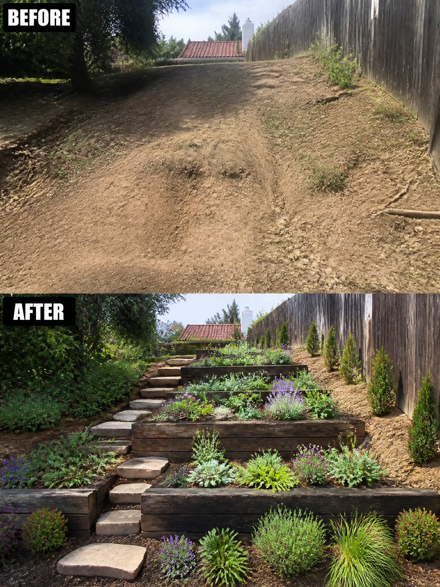 Before-and-after of bare dirt slope transformed into terraced garden beds with stone steps and plants.